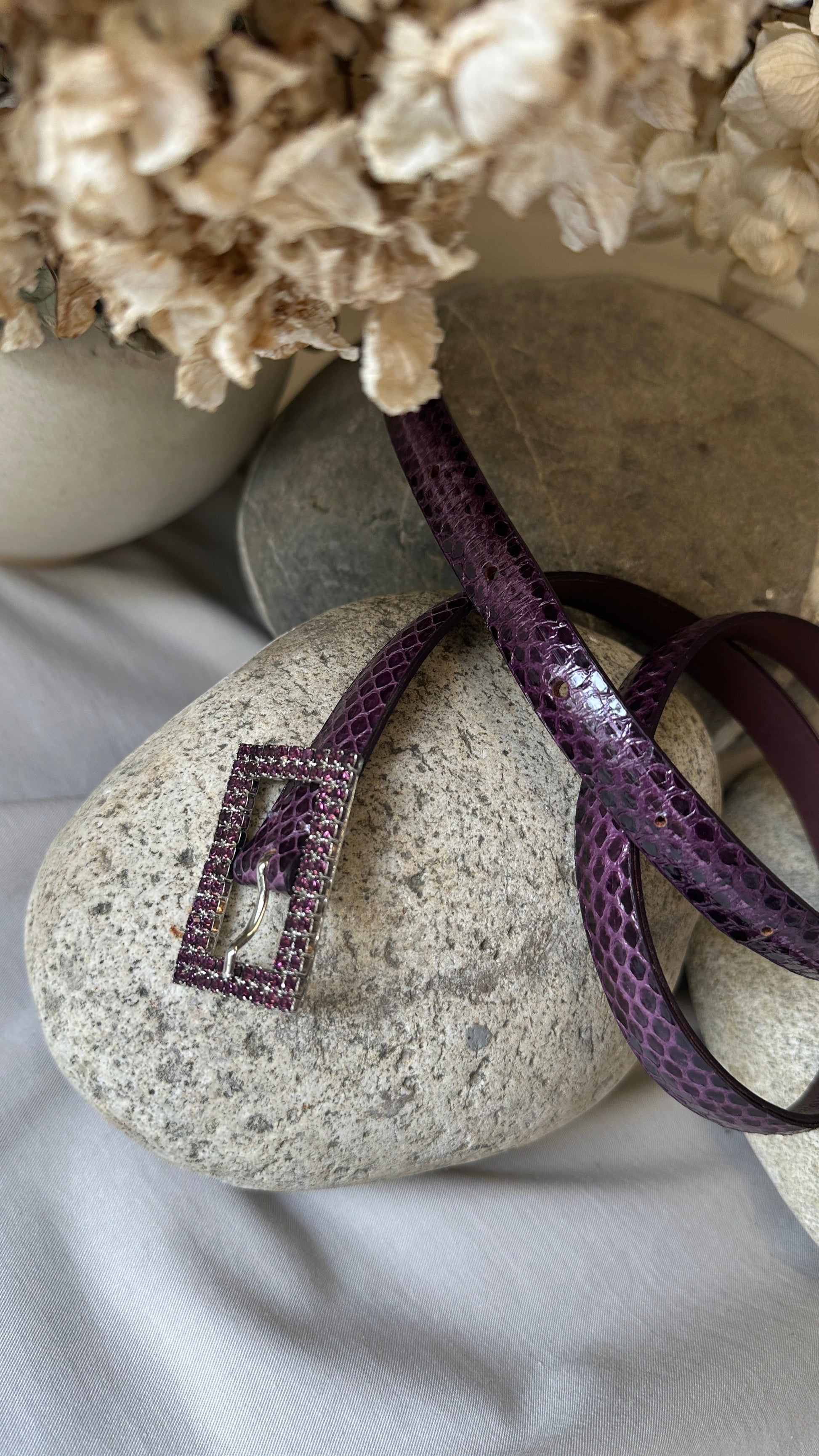 Dior Belt Purple