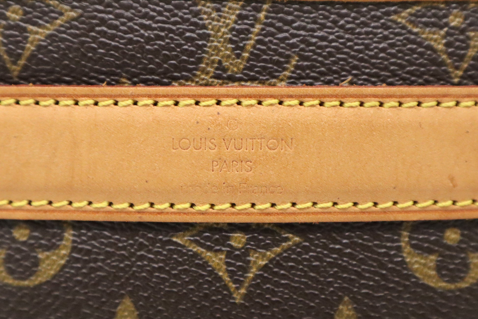 Louis Vuitton Sac Chien 40 Monogram Canvas Handbag