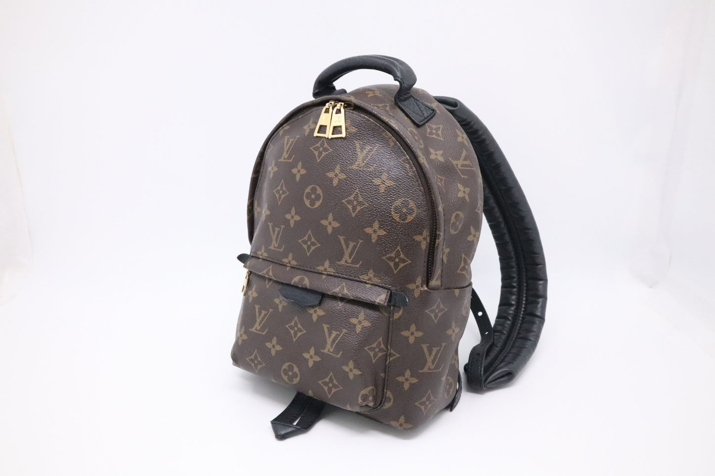 Louis Vuitton Palm Springs Backpack PM Monogram Canvas Jewelry