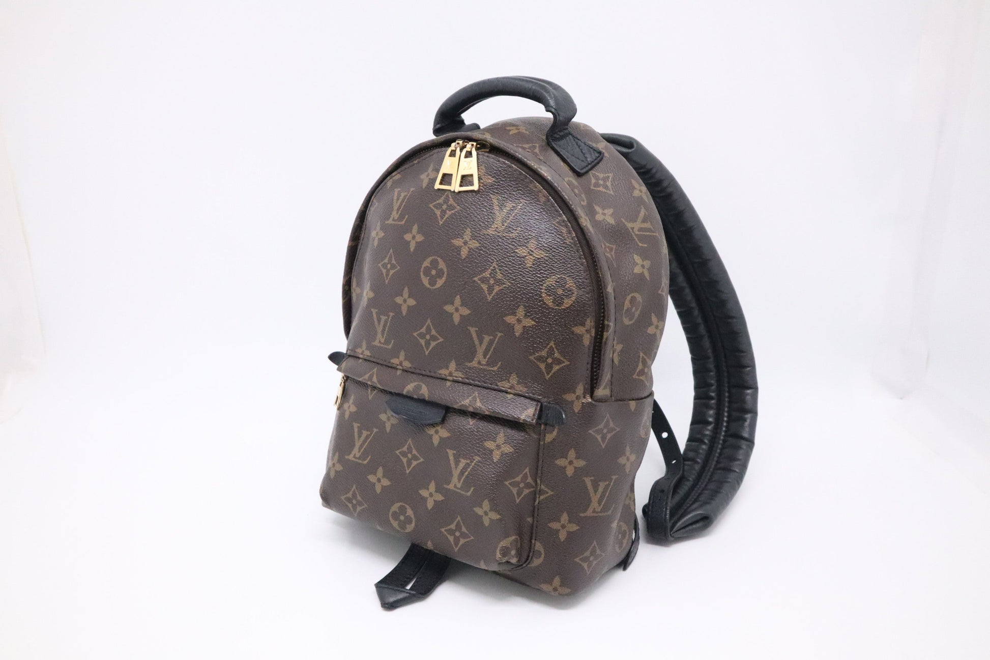 Louis Vuitton Palm Springs Backpack PM Monogram Canvas Jewelry