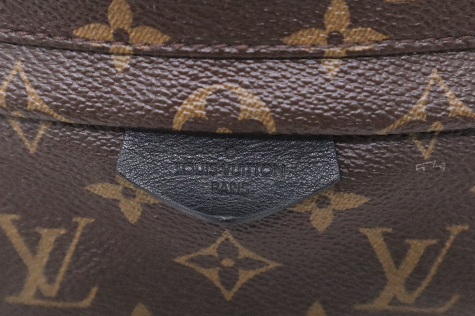 Louis Vuitton Palm Springs Backpack PM Monogram Canvas Jewelry