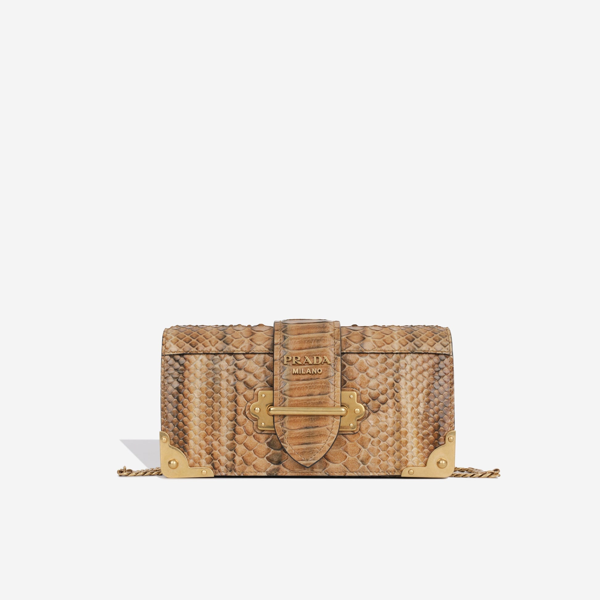 Prada Cahier Clutch Python Clutch Bag