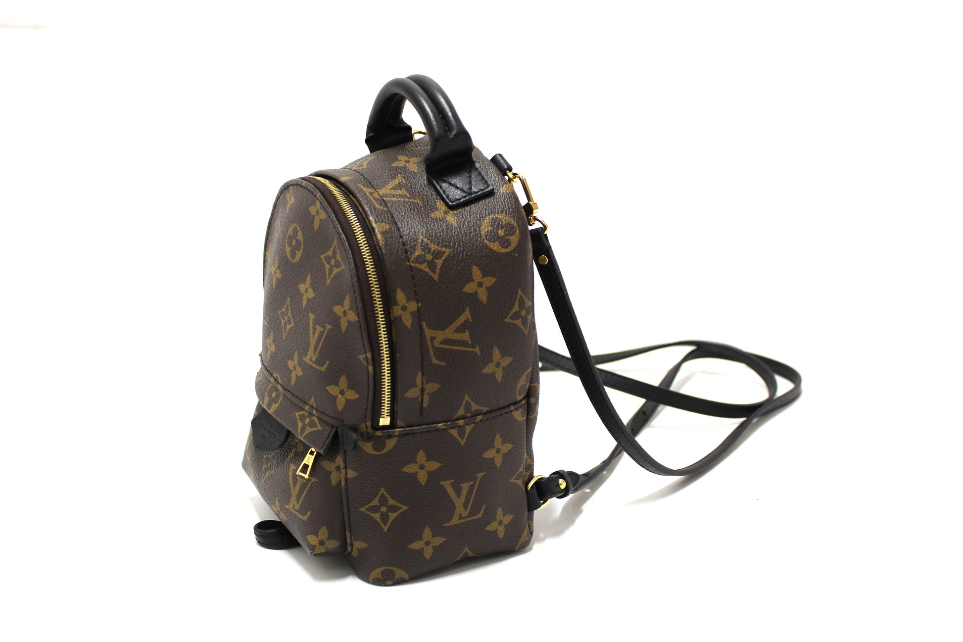 Louis Vuitton Classic Monogram Palm Springs Mini Backpack