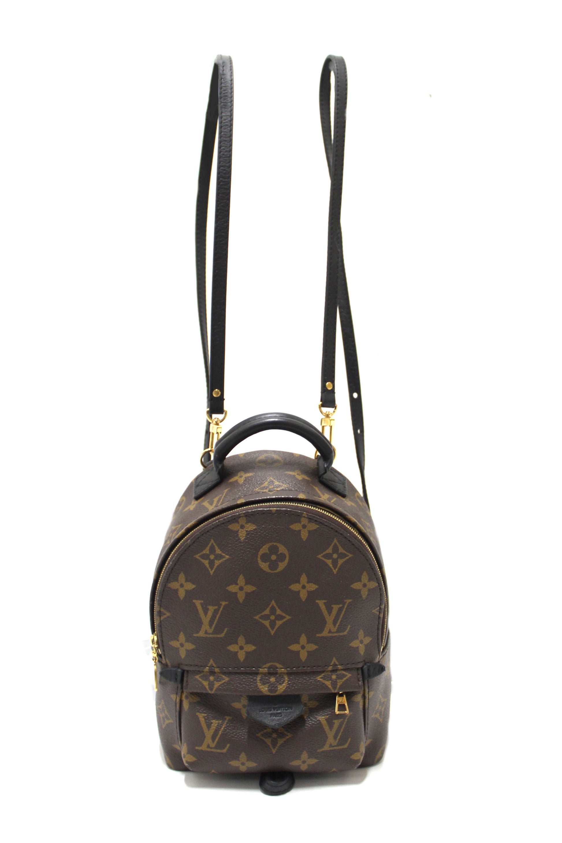 Louis Vuitton Classic Monogram Palm Springs Mini Backpack