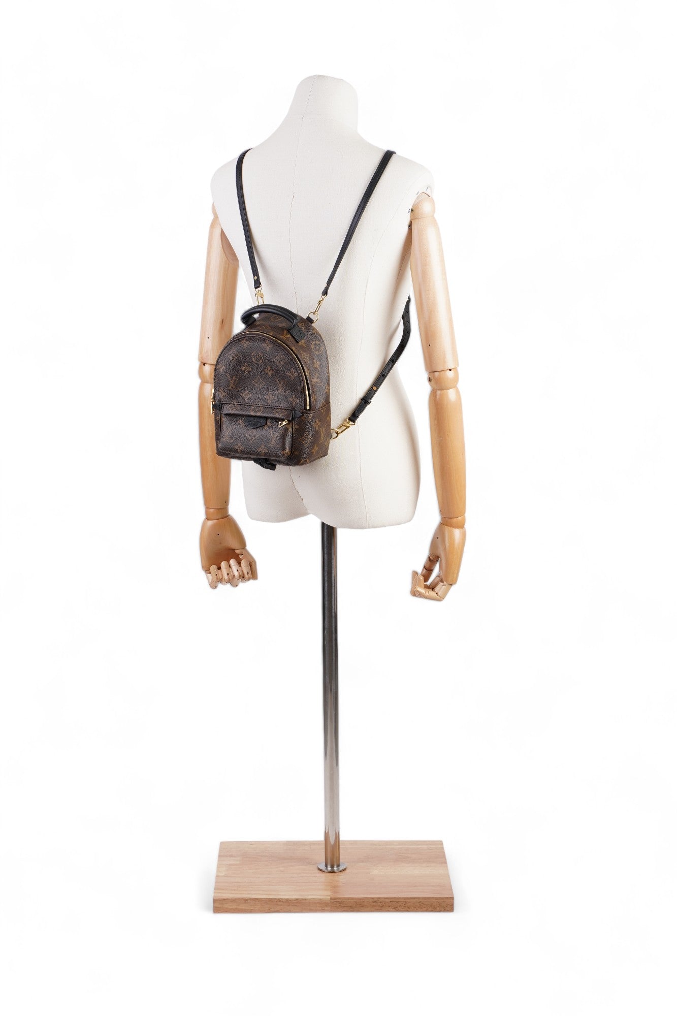 Louis Vuitton Palm Springs Coated Monogram Canvas Coated Canvas Apparel Mini 1