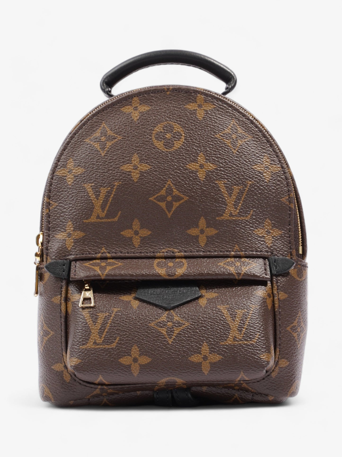 Louis Vuitton Palm Springs Coated Monogram Canvas Coated Canvas Apparel Mini 1