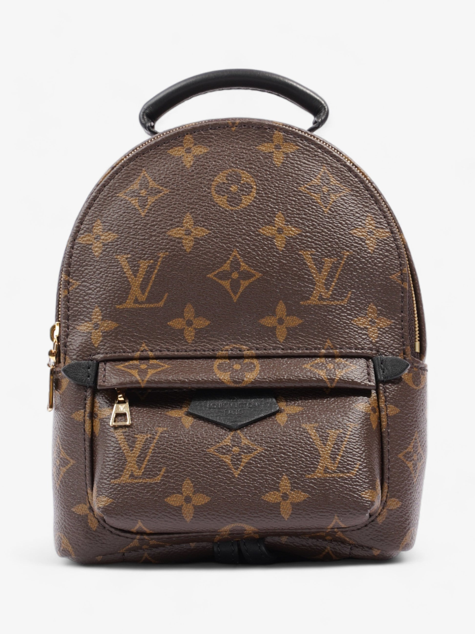Louis Vuitton Palm Springs Coated Monogram Canvas Coated Canvas Apparel Mini 1