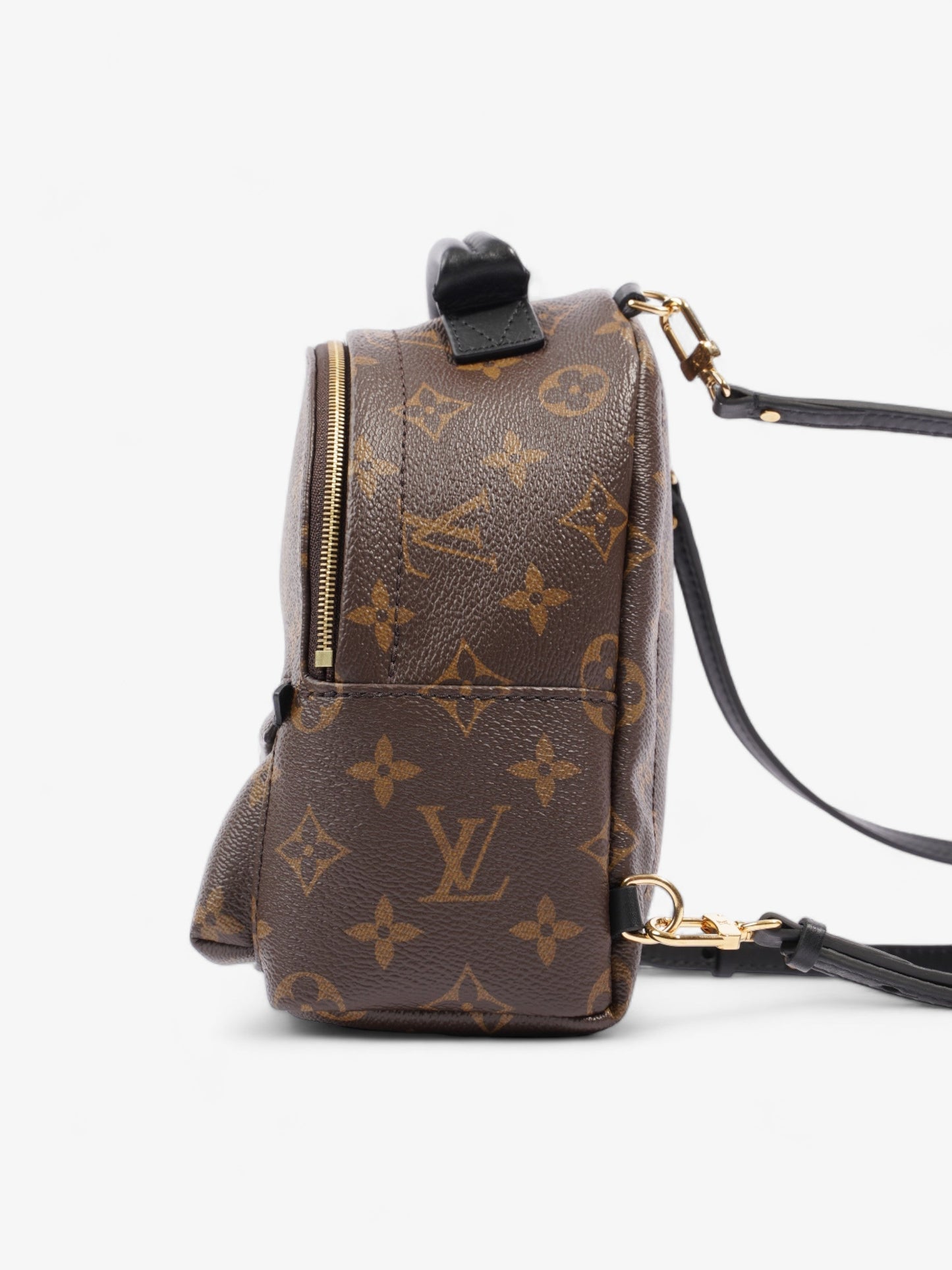 Louis Vuitton Palm Springs Coated Monogram Canvas Coated Canvas Apparel Mini 1