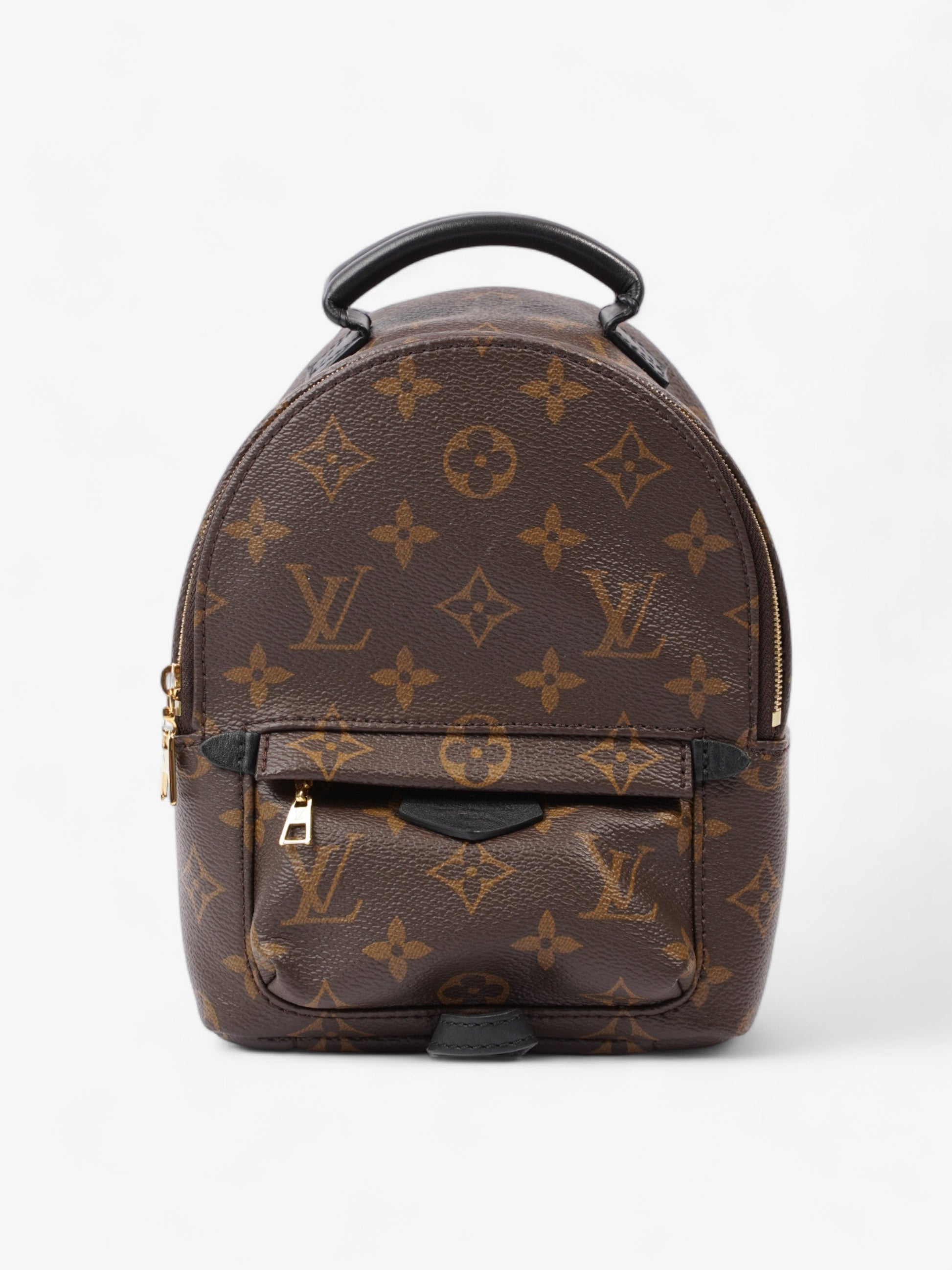 Louis Vuitton Palm Springs Coated Monogram Canvas Coated Canvas Apparel Canvas Mini
