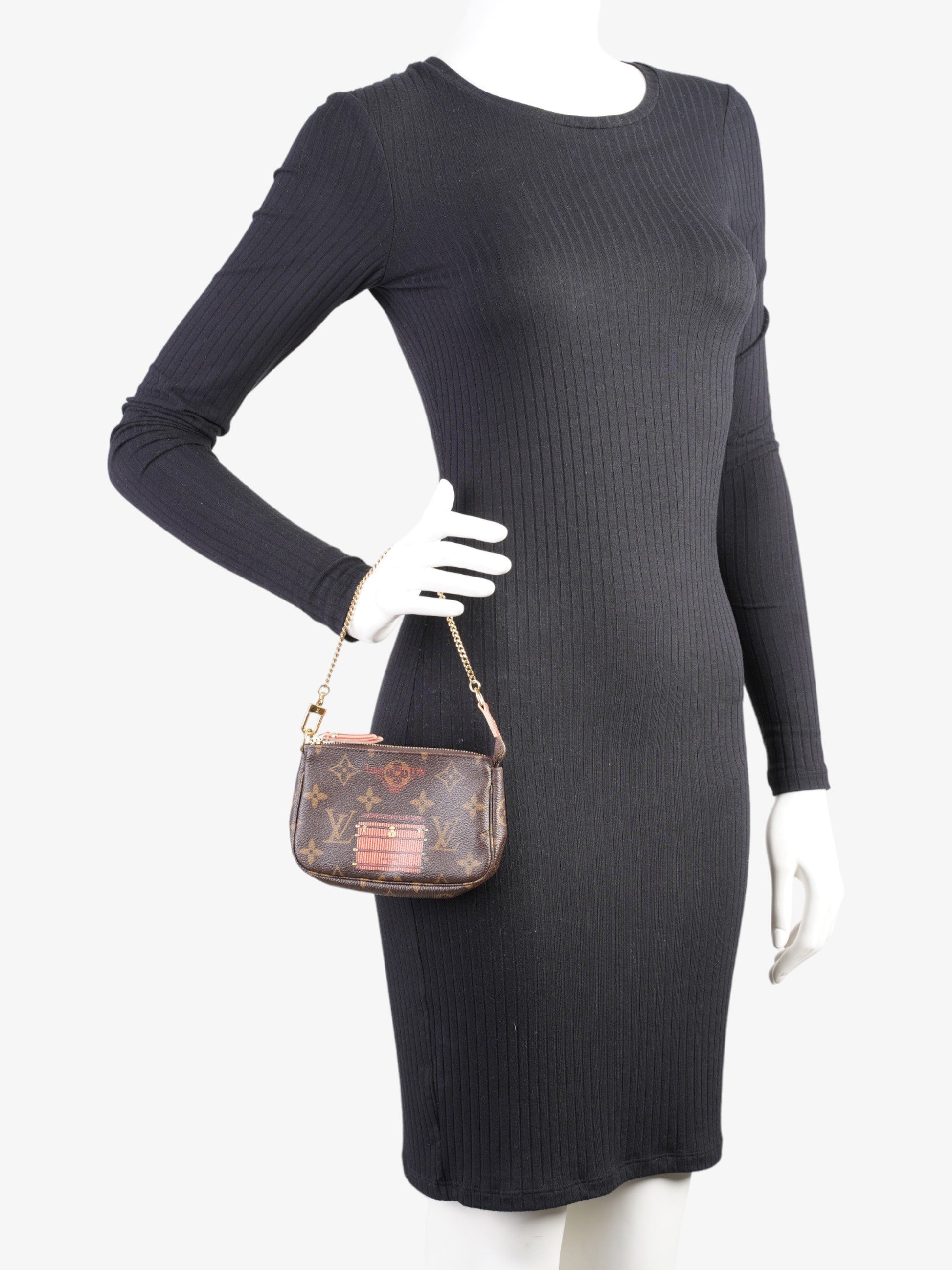 Louis Vuitton Pochette Accessoires Limited Edition Coated Monogram Canvas Coated Canvas Apparel