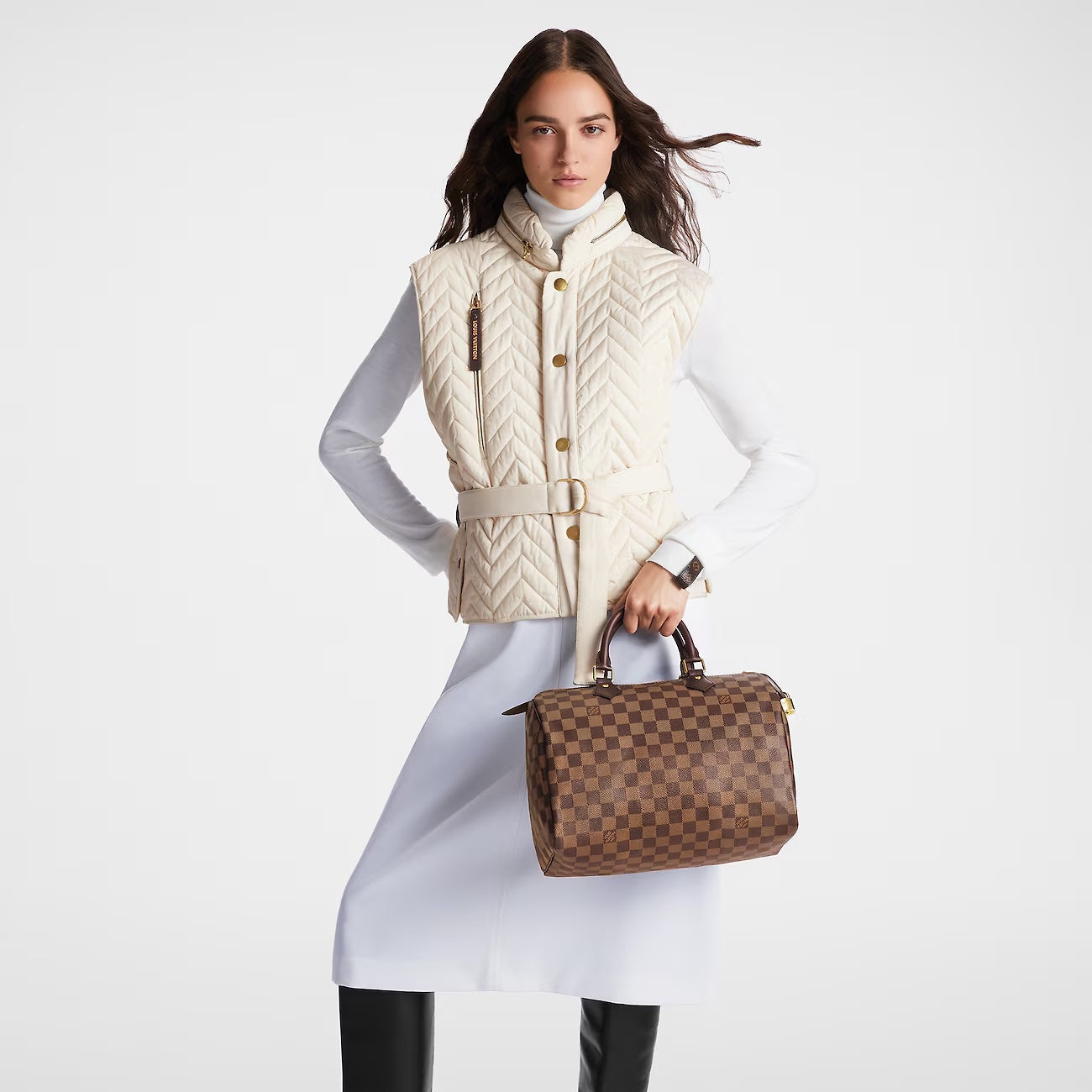 Louis Vuitton EBENE SPEEDY 30 Damier Handbag Speedy 30