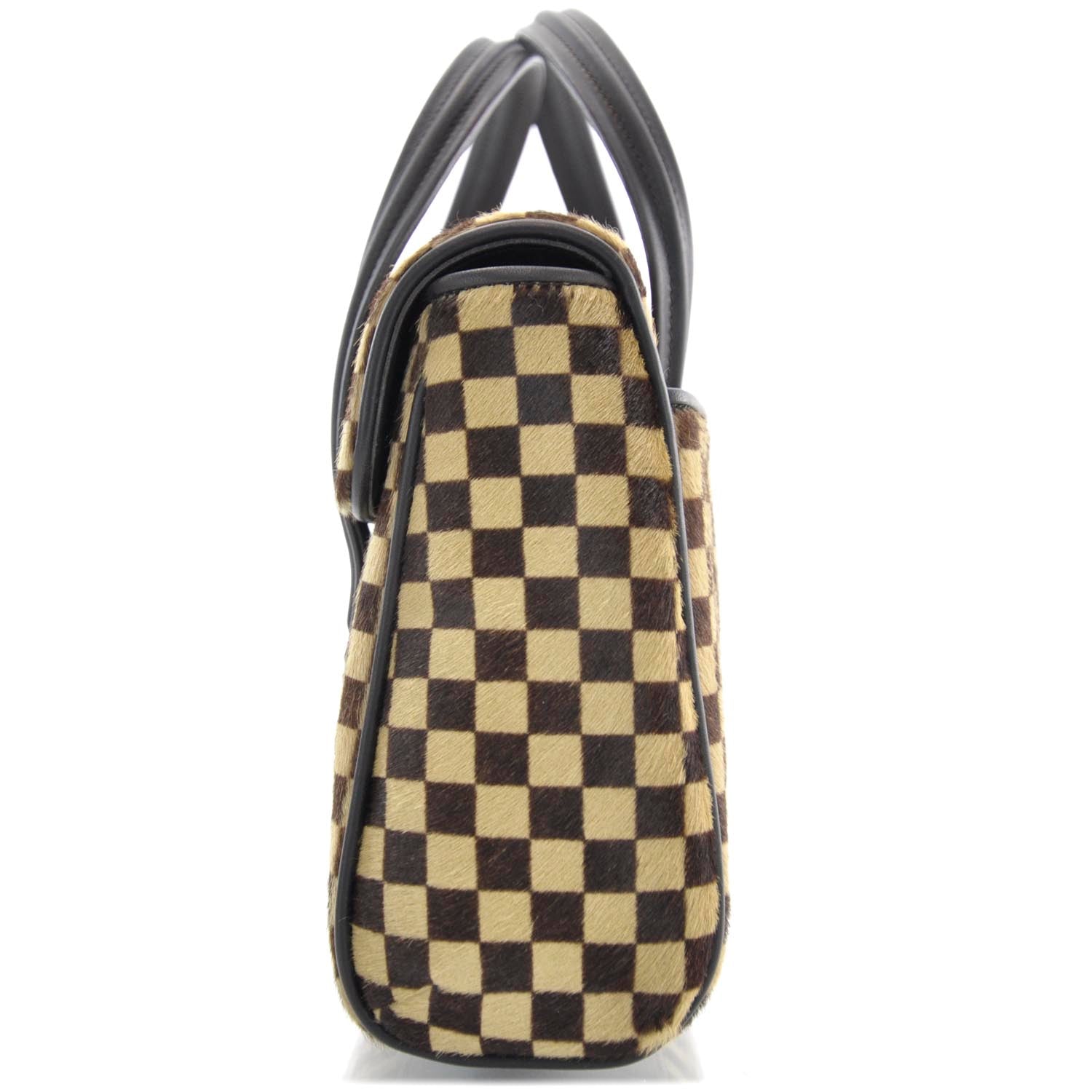 Louis Vuitton SAUVAGE LIONNE HAIR Damier Calf Handbag