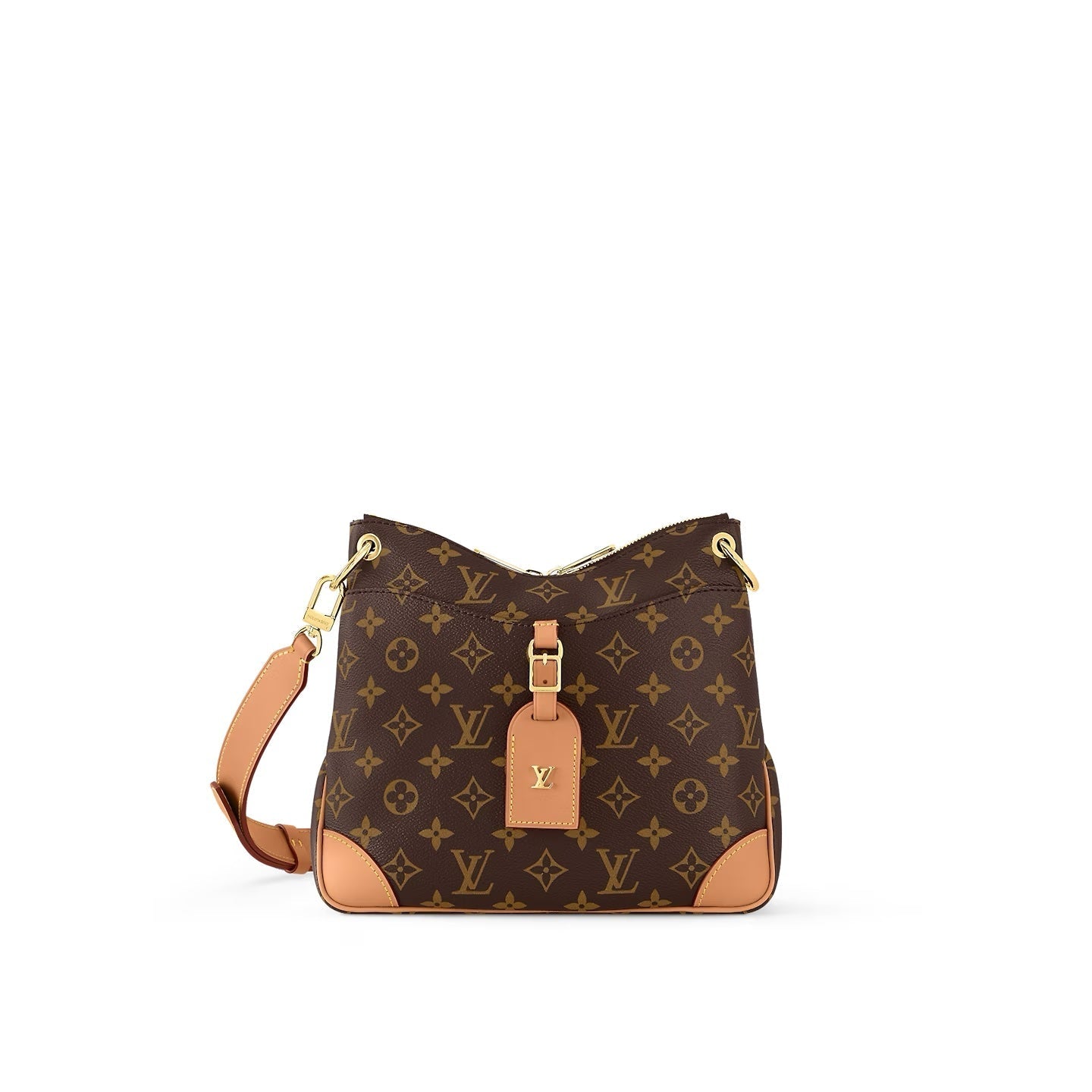 Louis Vuitton ODÉON PM Monogram Handbag
