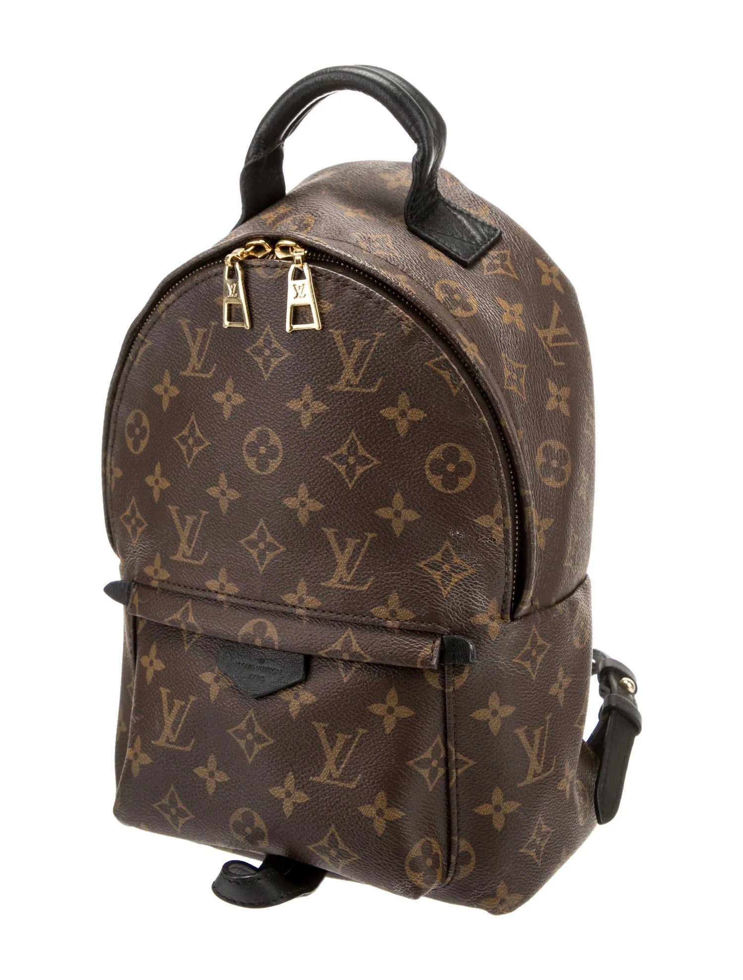 Louis Vuitton PALM SPRINGS BACKPACK PM Monogram Jewelry Pm 1