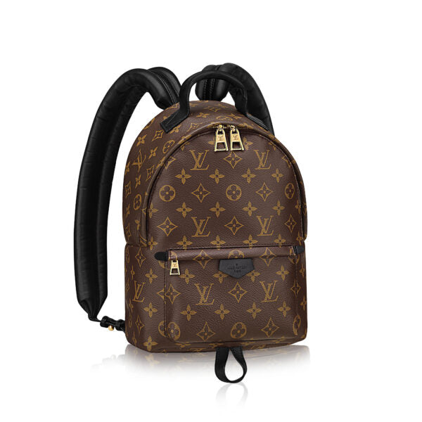 Louis Vuitton PALM SPRINGS BACKPACK PM Monogram Jewelry Pm 1