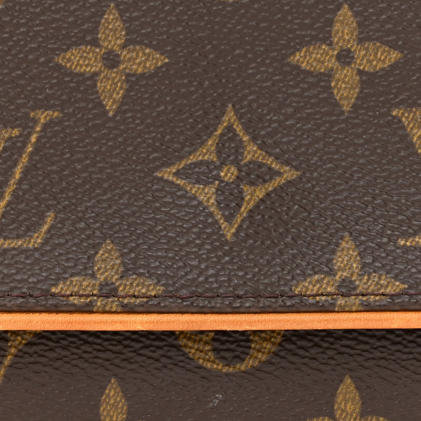 Louis Vuitton TWIN POCHETTE PM Monogram Crossbody Bag
