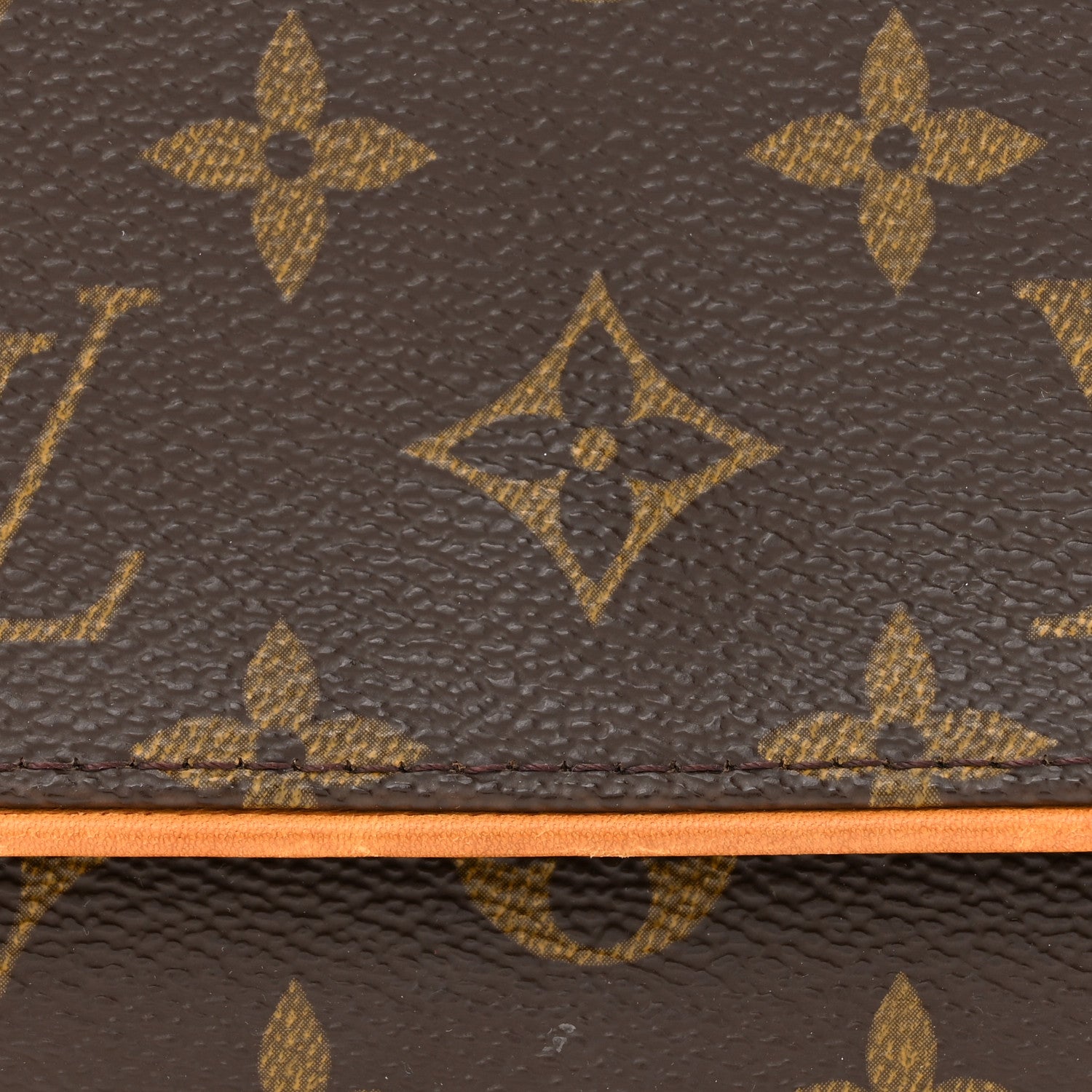 Louis Vuitton TWIN POCHETTE PM Monogram Crossbody Bag