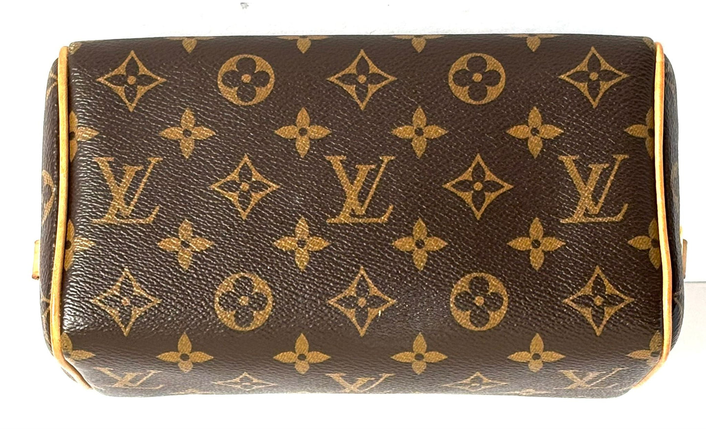 Louis Vuitton SPEEDY 20 Monogram Handbag