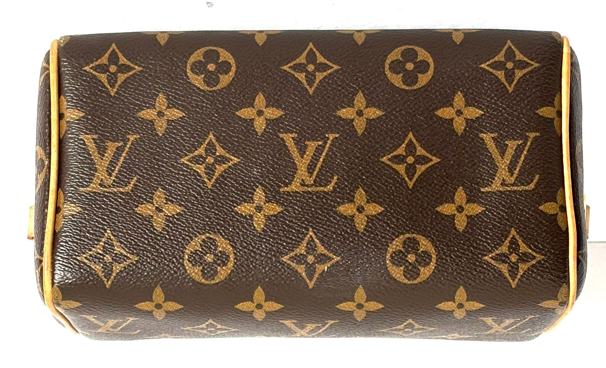 Louis Vuitton SPEEDY 20 Monogram Handbag