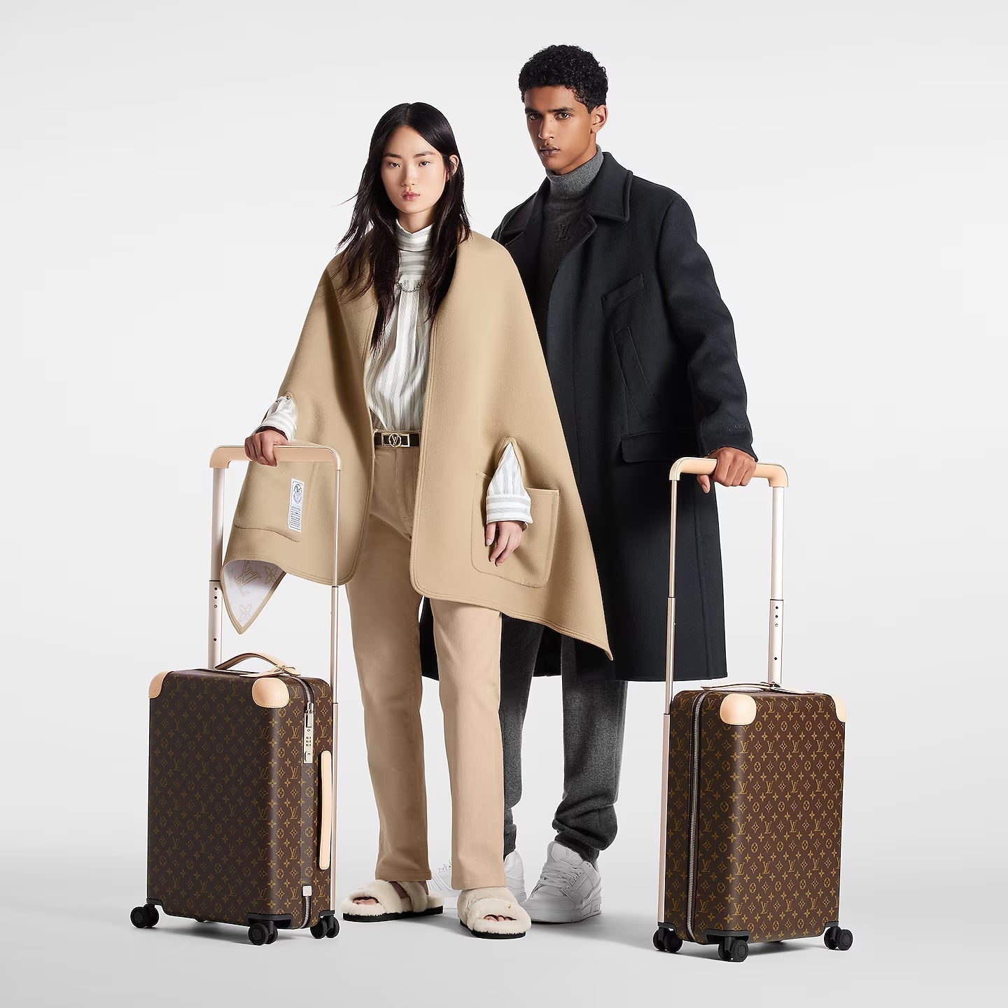 Louis Vuitton HORIZON 55 SUITCASE Monogram Handbag