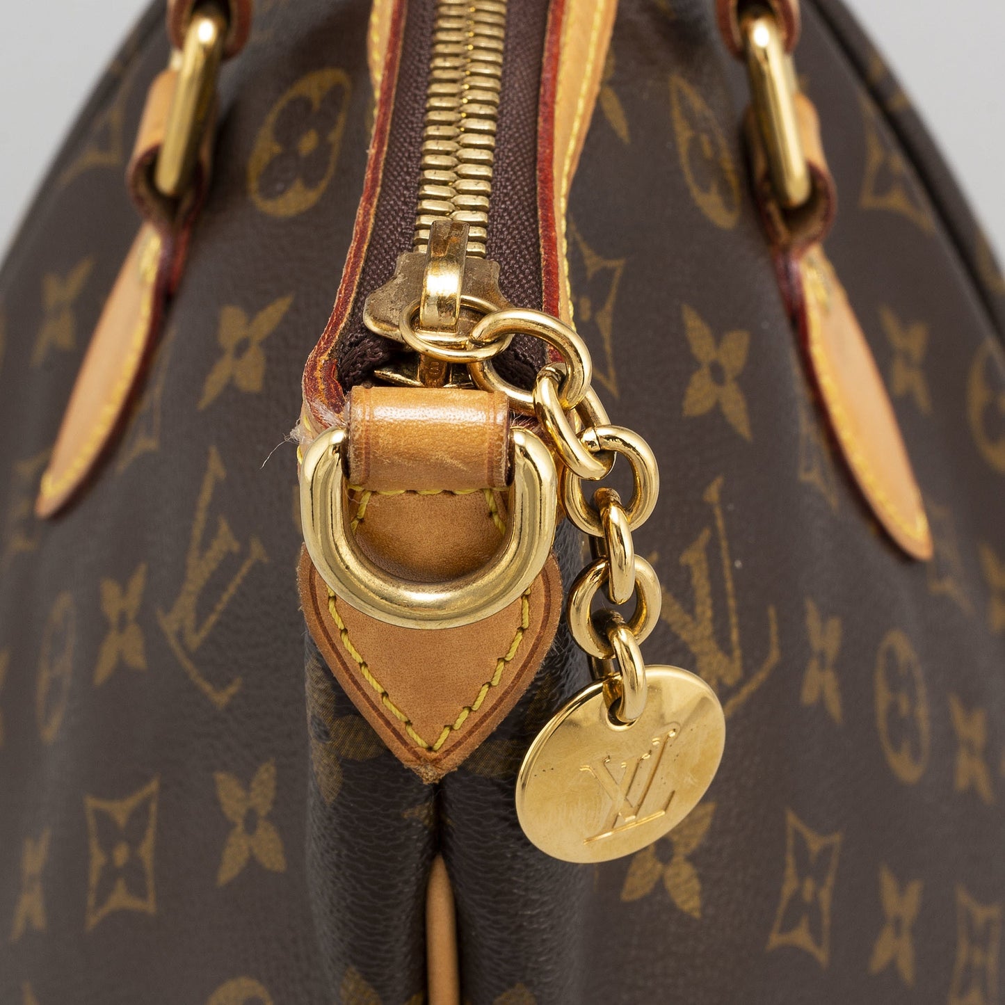 Louis Vuitton PALERMO PM Monogram Tote Bag Monogram Tote