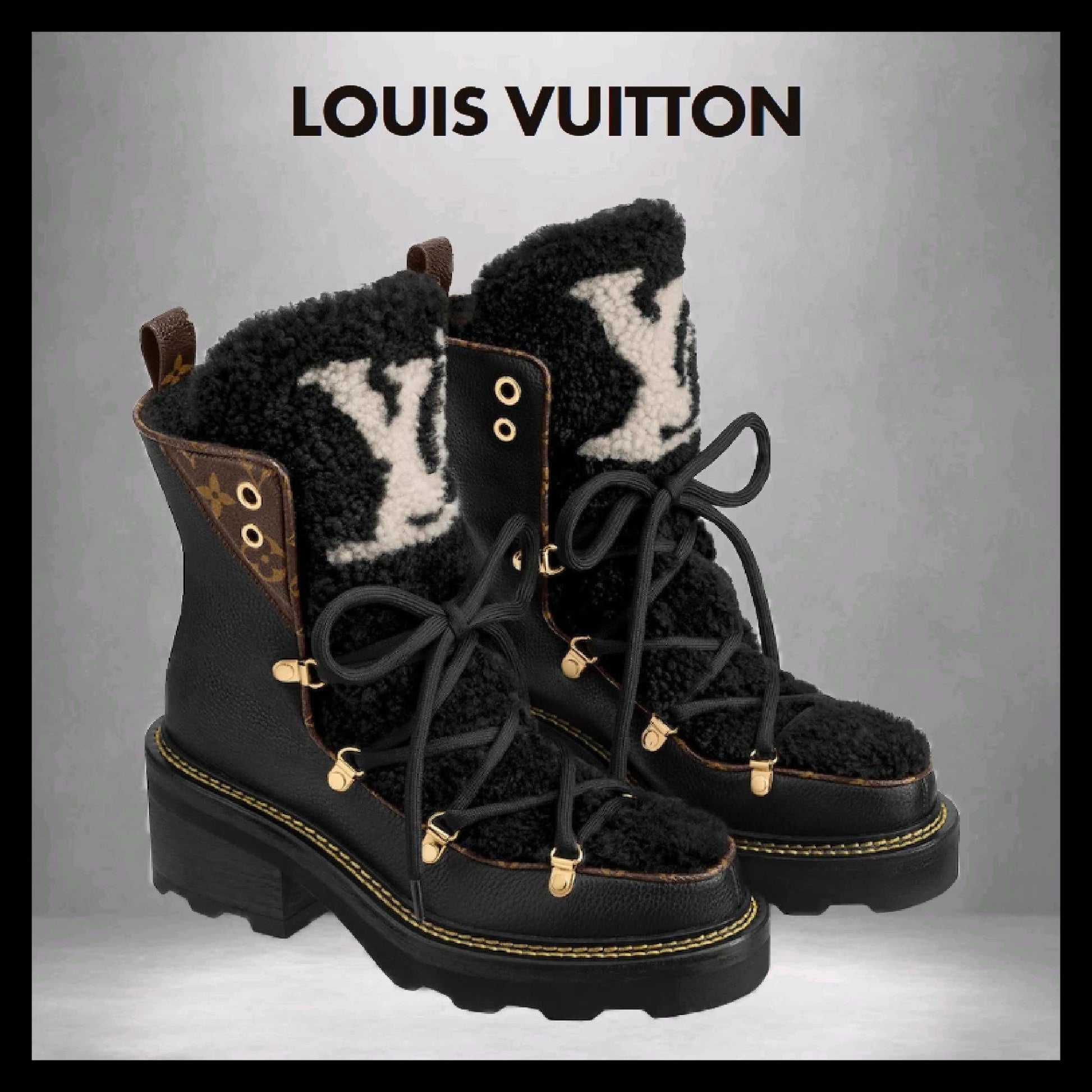 Louis Vuitton ANKLE BOOT Shoes