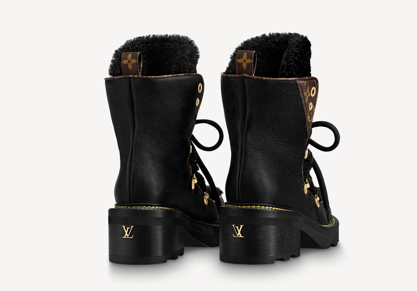 Louis Vuitton ANKLE BOOT Shoes