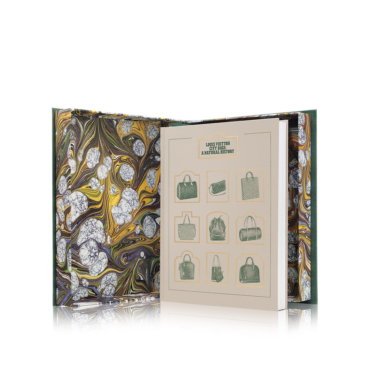 Louis Vuitton CITY NATURAL HISTORY BOOK Handbag