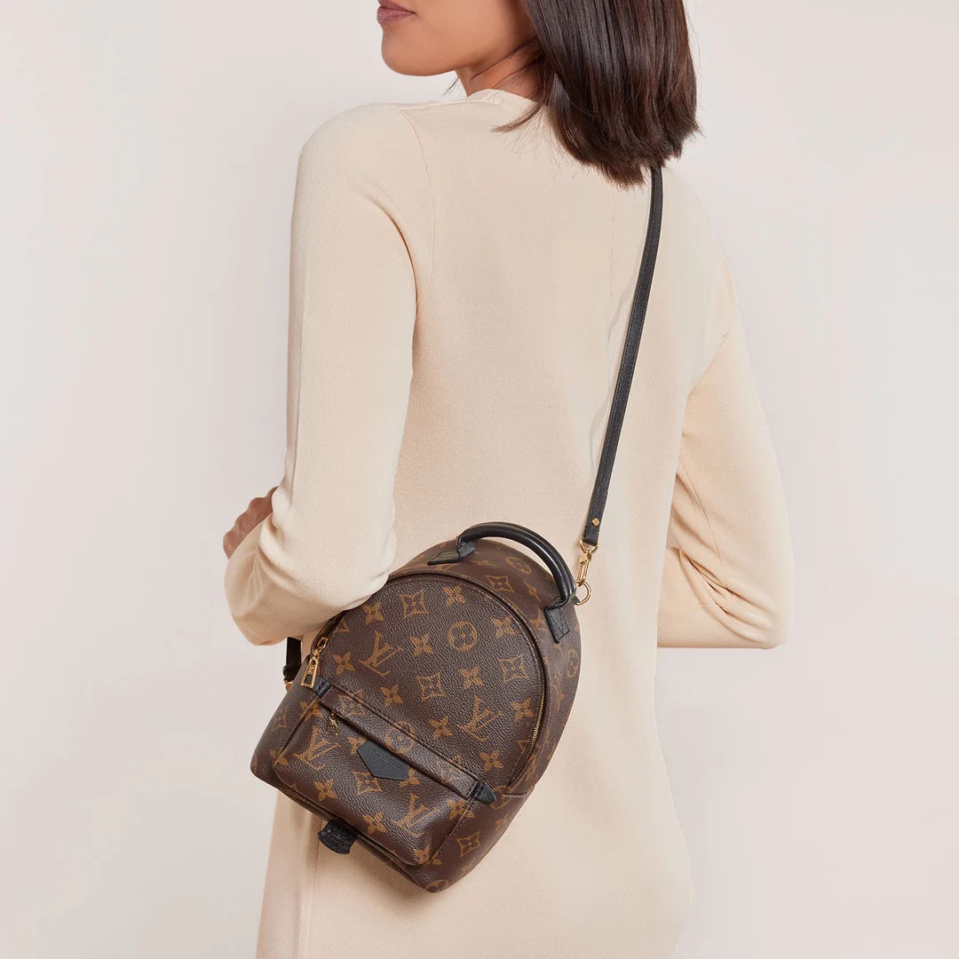 Louis Vuitton PALM SPRINGS BACKPACK Monogram Jewelry Backpack 1