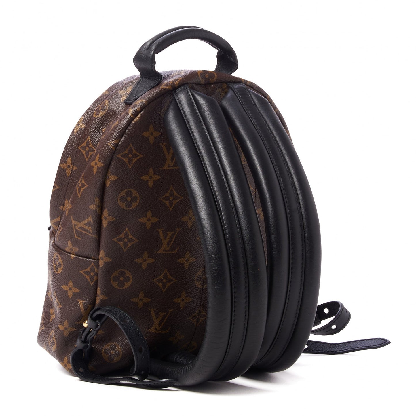 Louis Vuitton Palm Springs Backpack PM Monogram Jewelry Backpack Pm