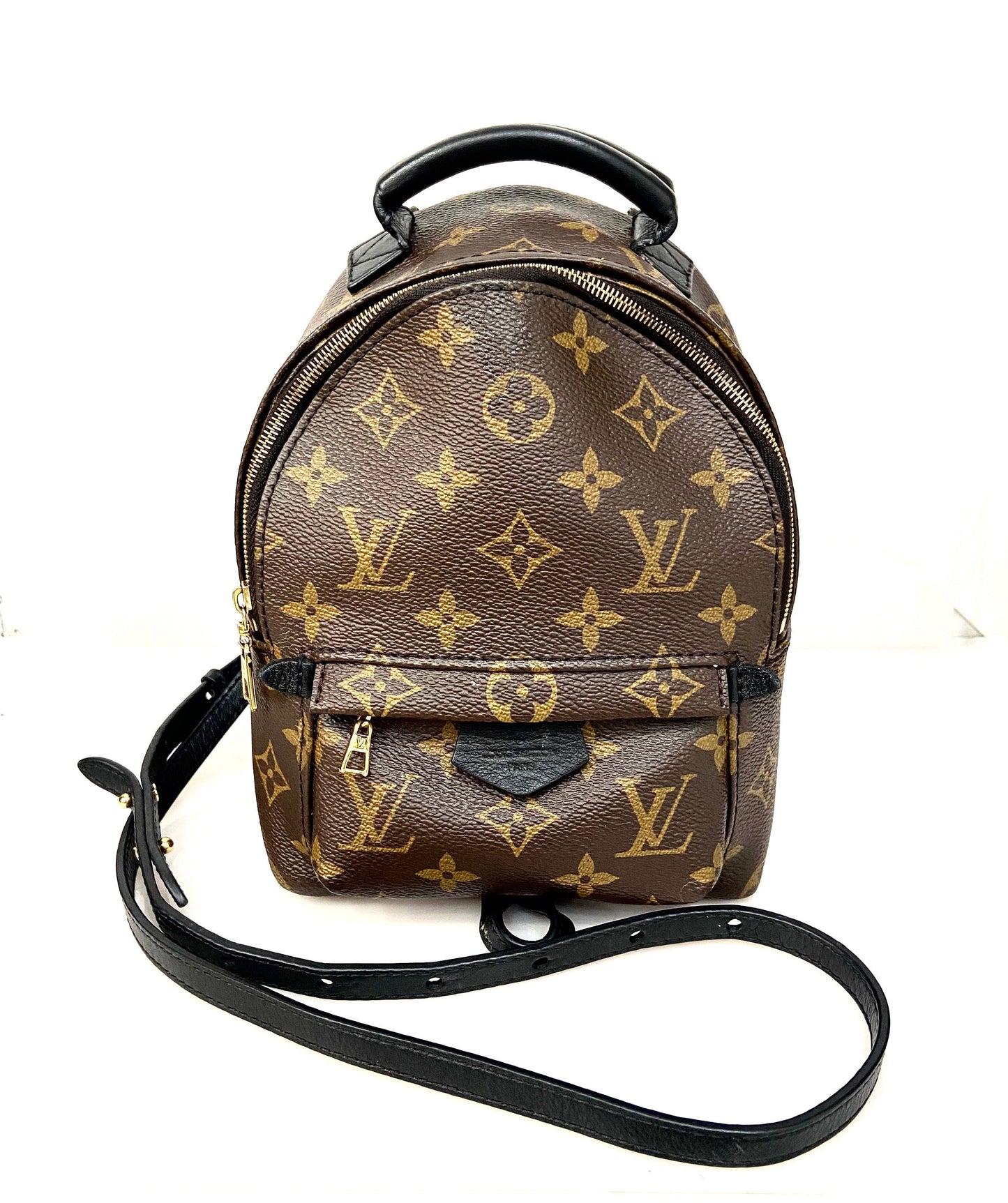 Louis Vuitton PALM SPRINGS BACKPACK Monogram Jewelry Backpack 1