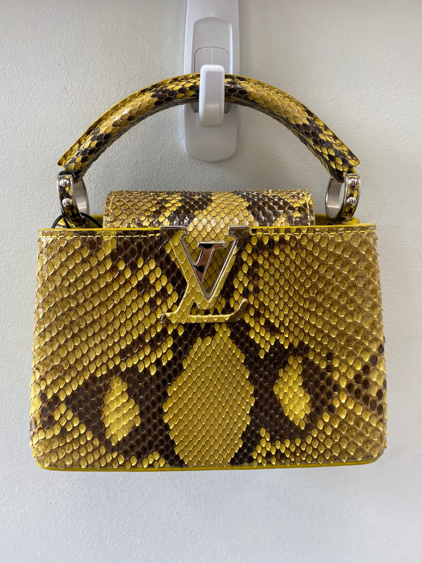 Louis Vuitton PYTHON Hat