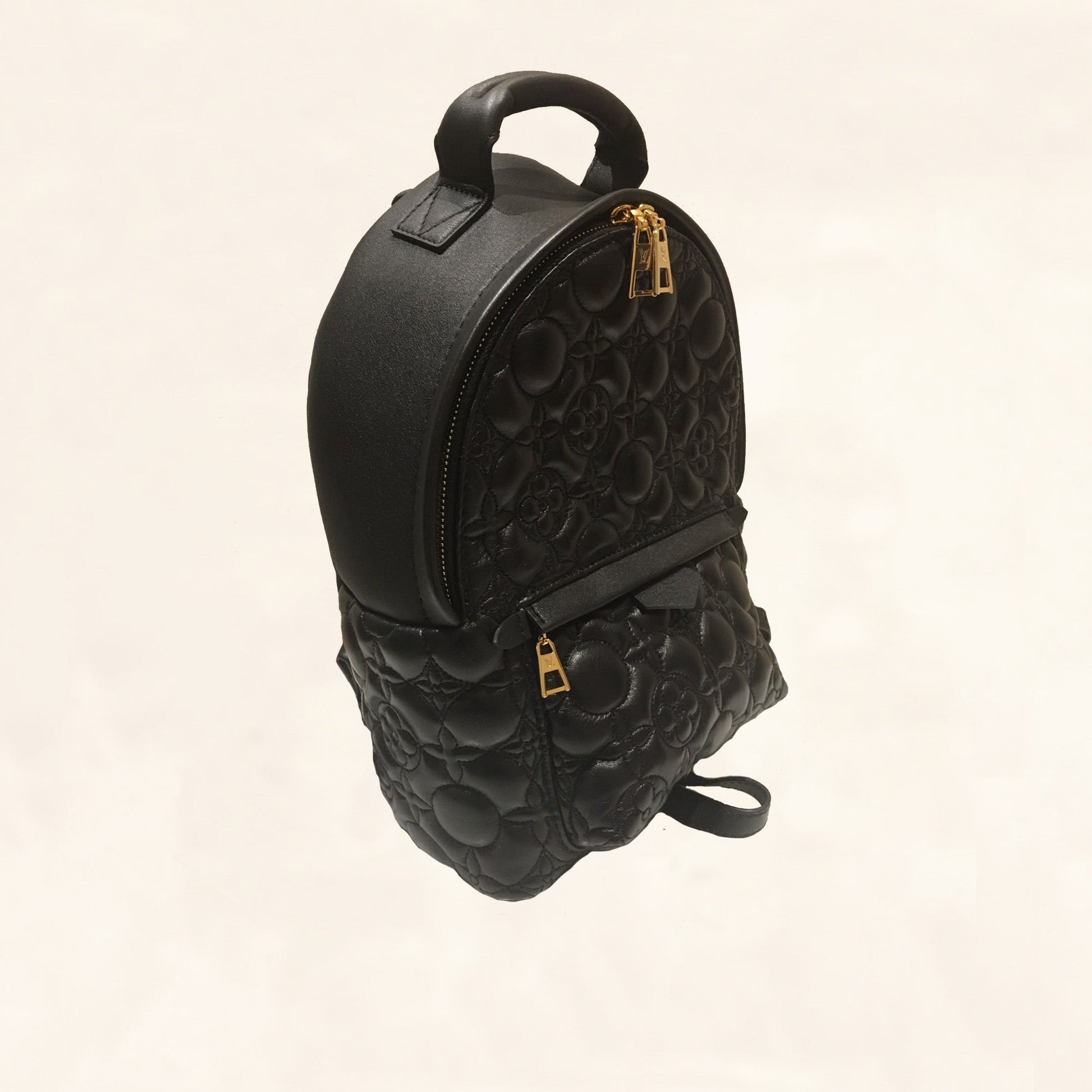 Louis Vuitton | Embroidered Lambskin Palm Springs BackPack | PM