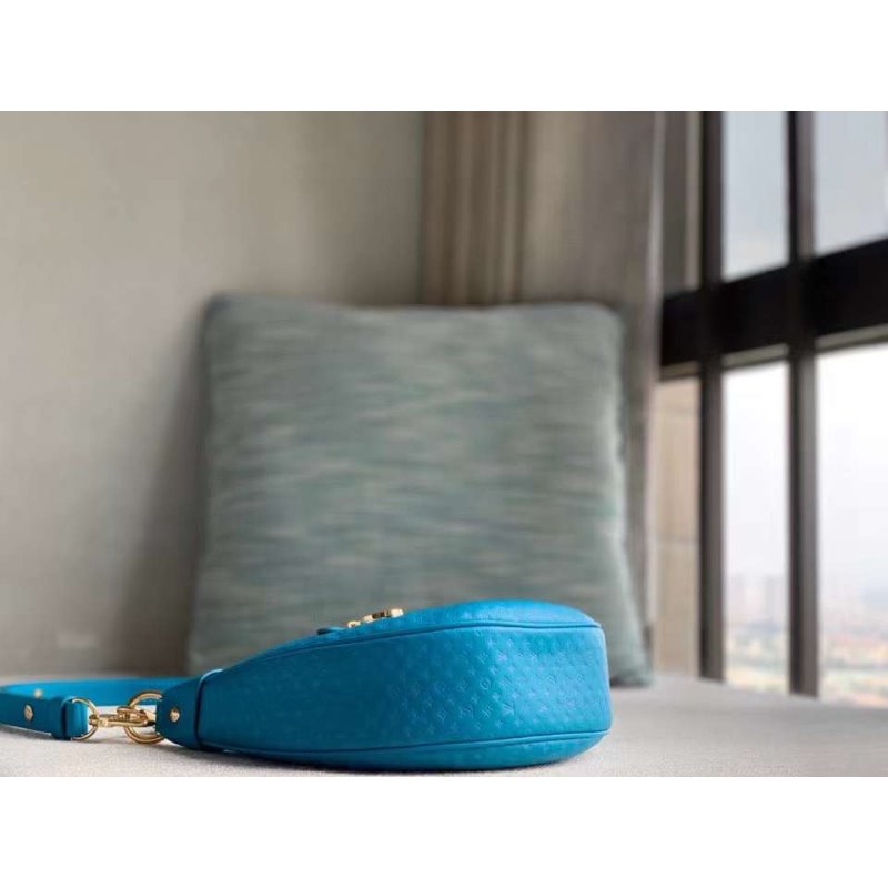 Louis Vuitton Loop Hand Bag Travel Bag