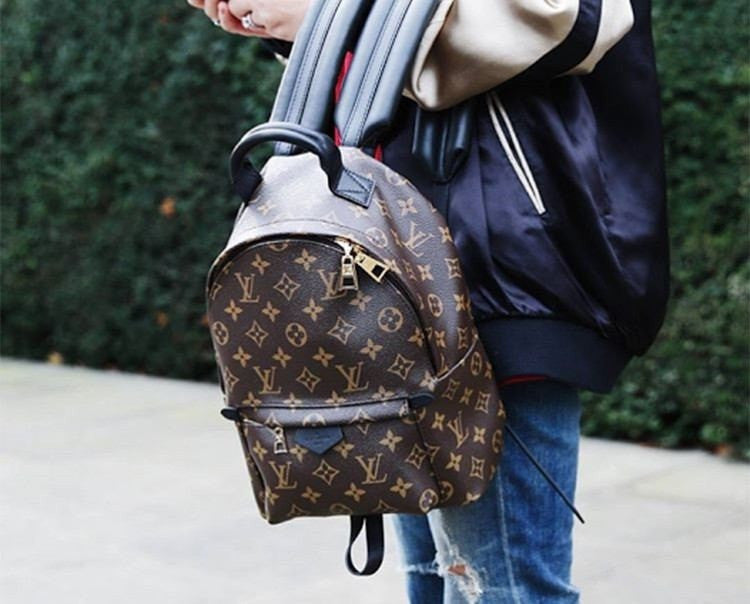 Louis Vuitton | Canvas Palm Springs Backpack | MM