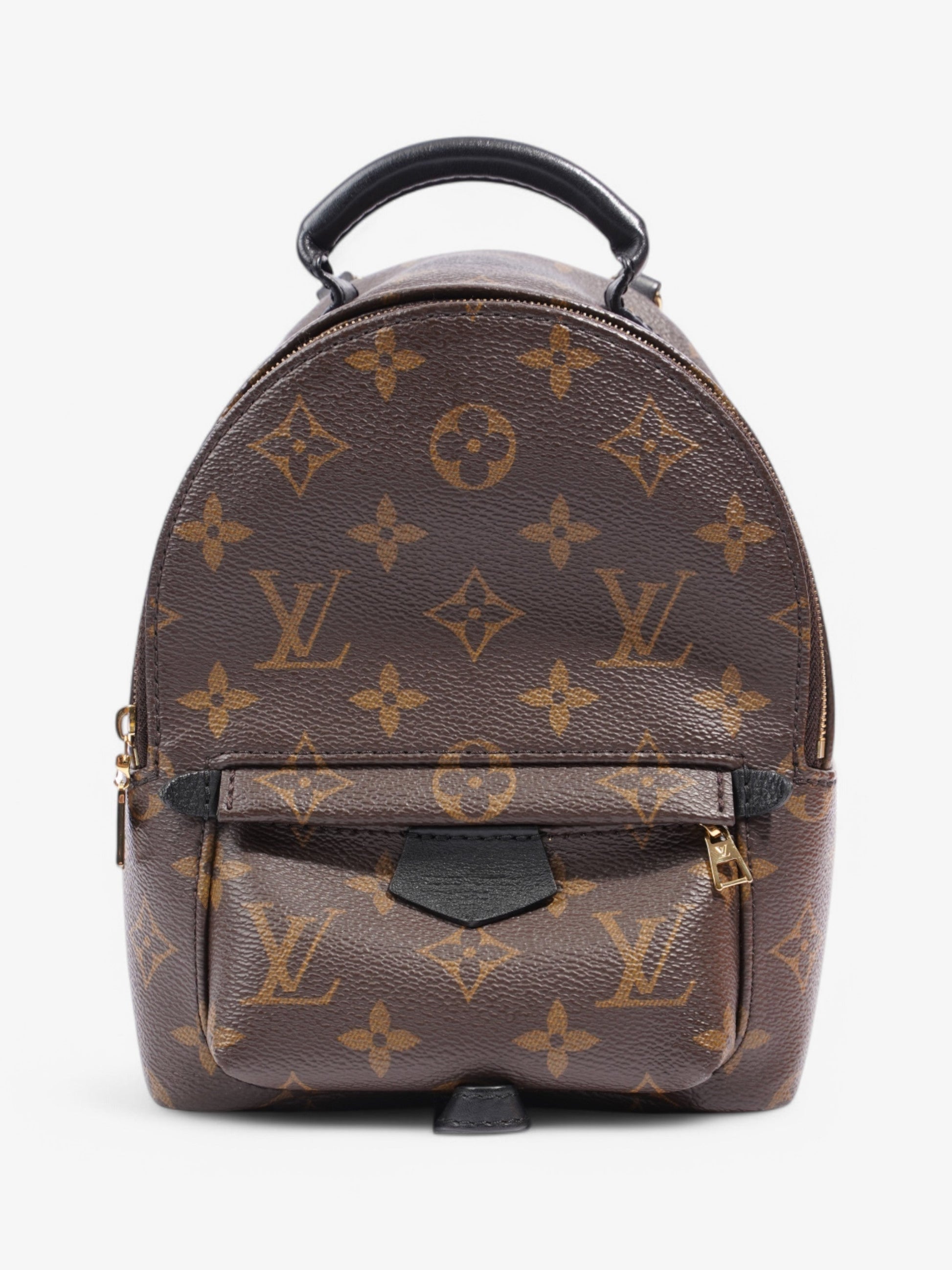 Louis Vuitton Palm Springs Coated Monogram Canvas Coated Canvas Apparel 4