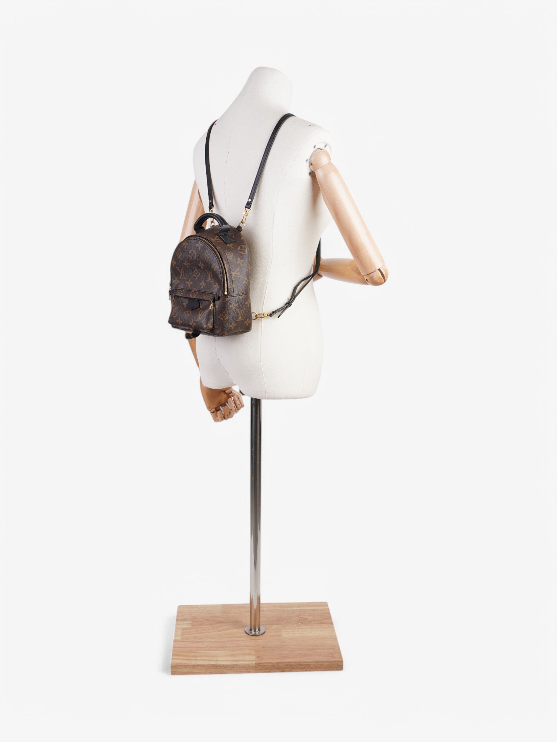 Louis Vuitton Palm Springs Coated Monogram Canvas Coated Canvas Apparel 4