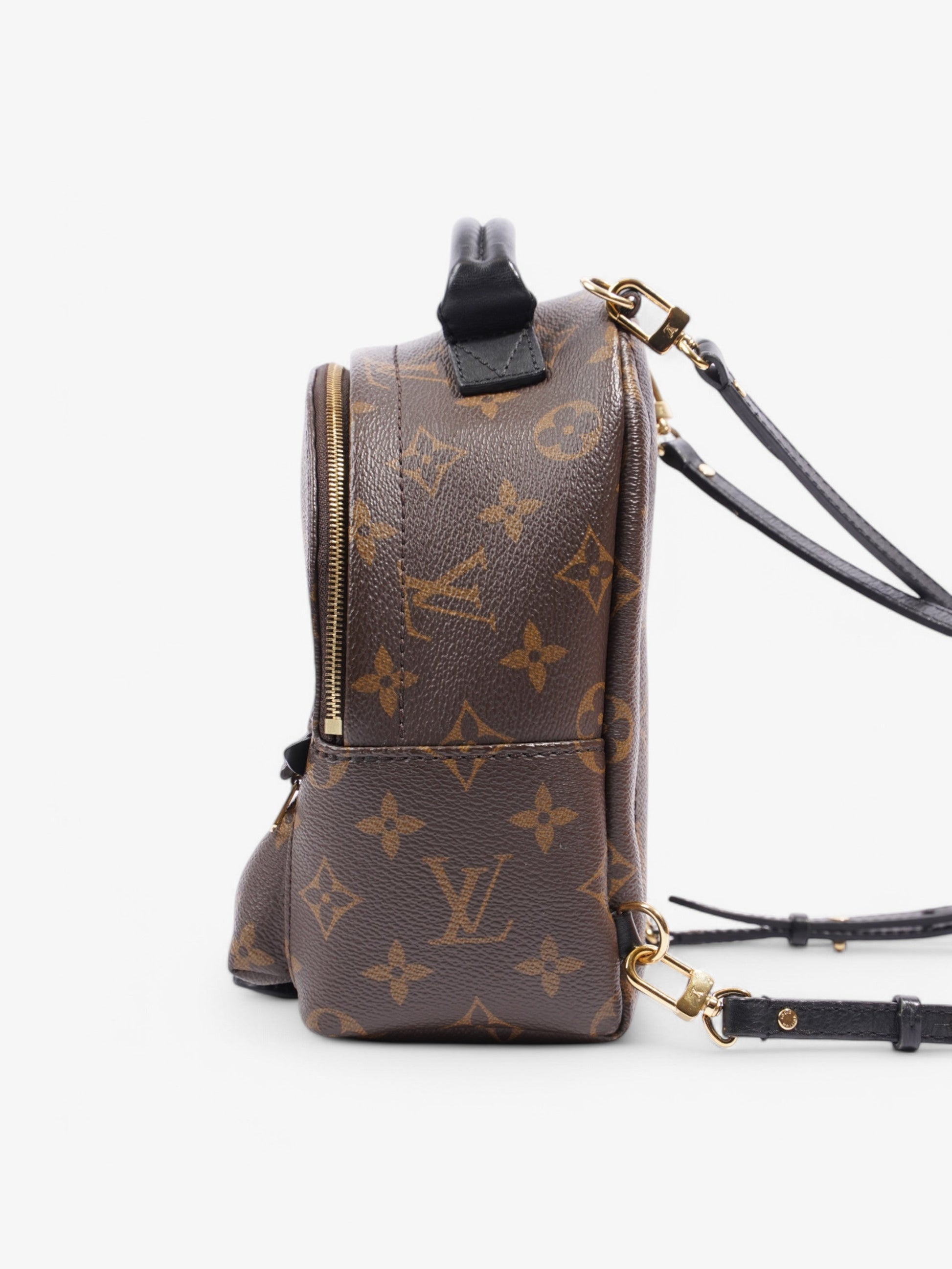Louis Vuitton Palm Springs Coated Monogram Canvas Coated Canvas Apparel 4