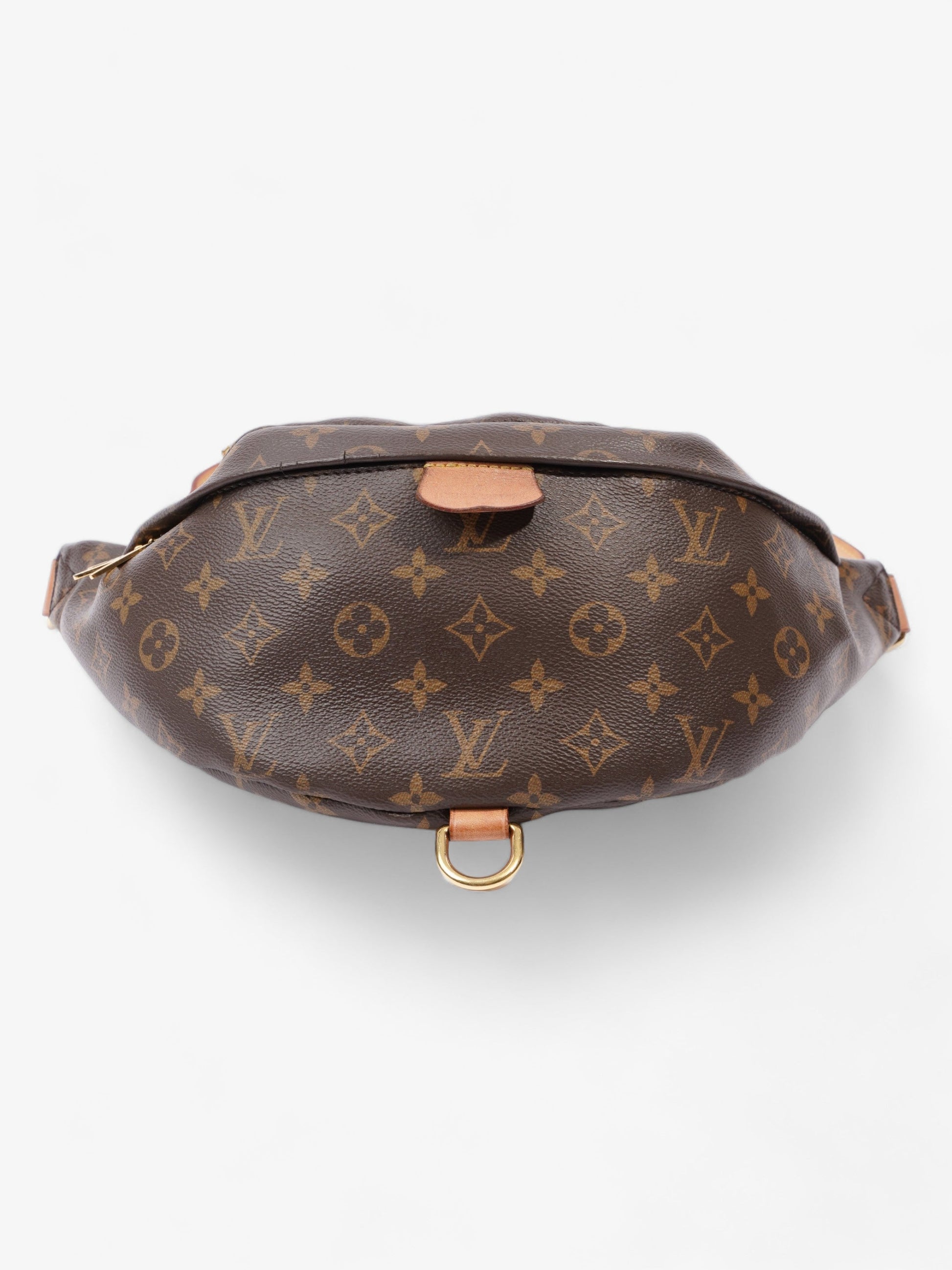 Louis Vuitton Bumbag Coated Monogram Canvas Coated Canvas Apparel Canvas 6
