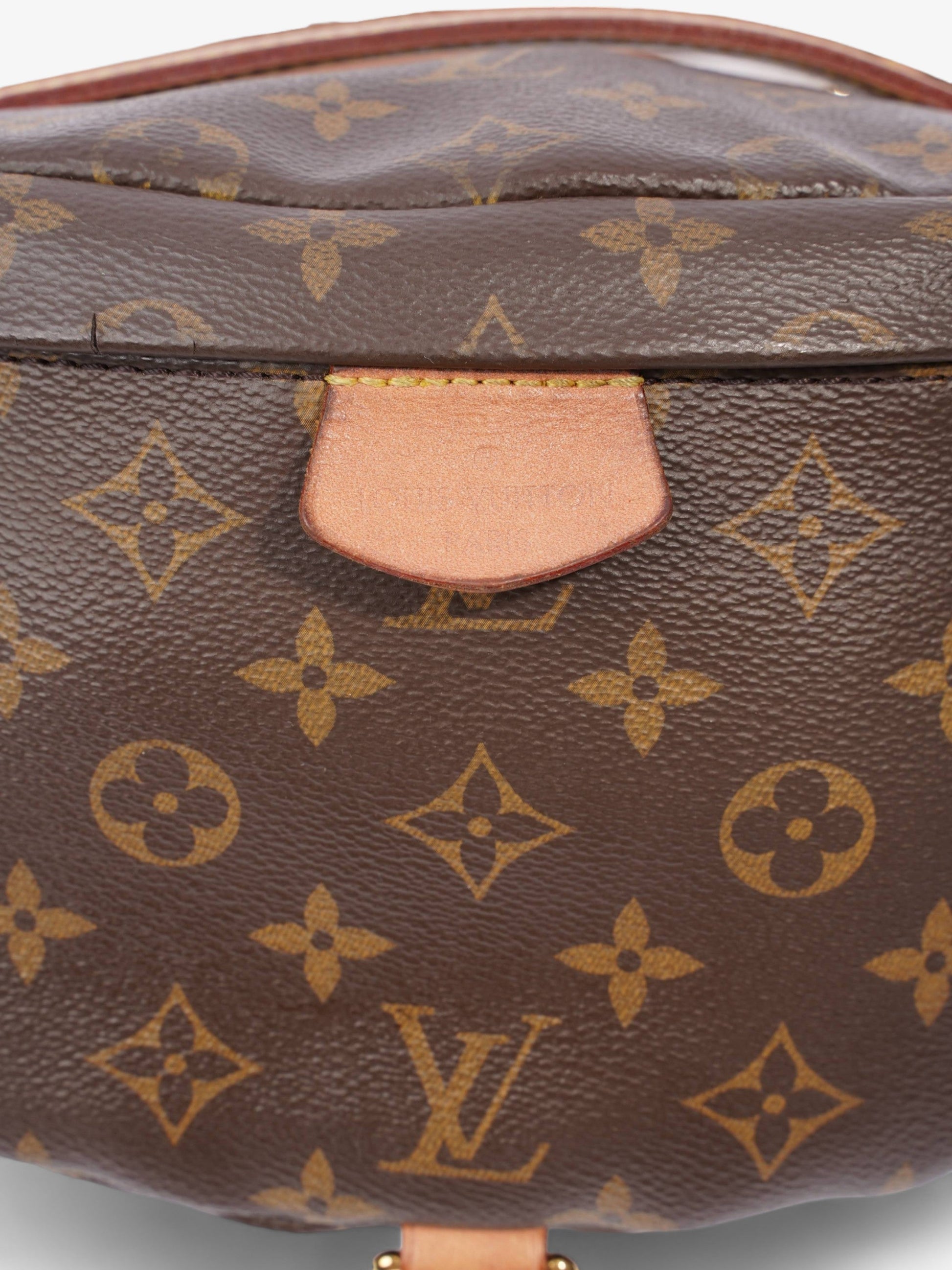 Louis Vuitton Bumbag Coated Monogram Canvas Coated Canvas Apparel Canvas 6