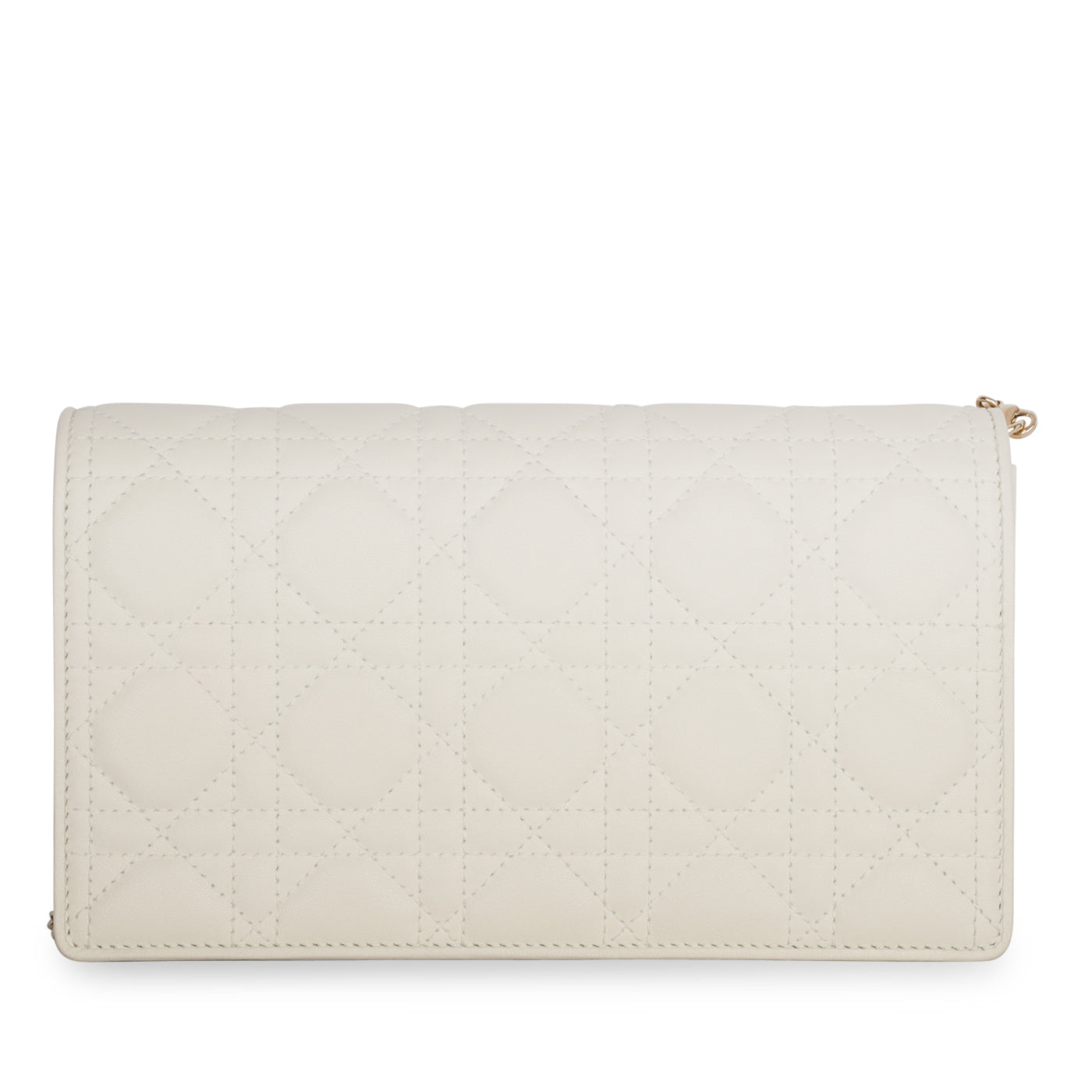 Dior Christian Lady Pouch Crossbody Bag