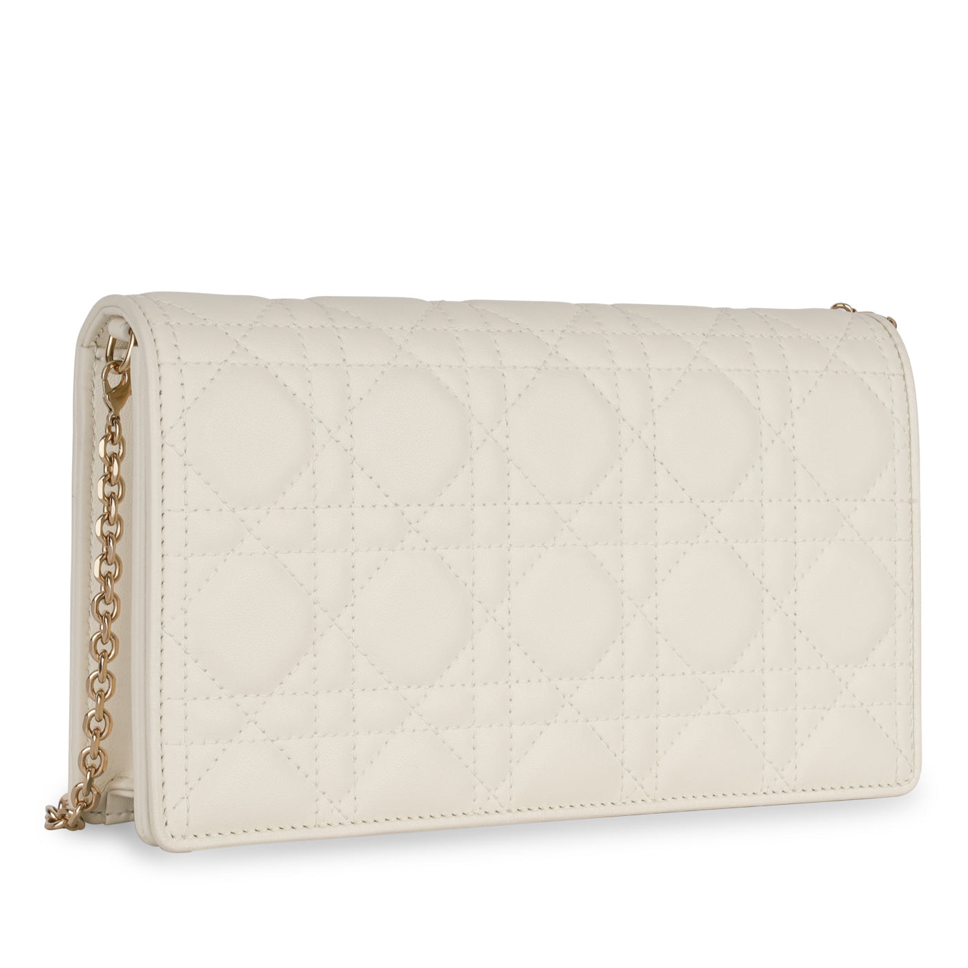 Dior Christian Lady Pouch Crossbody Bag