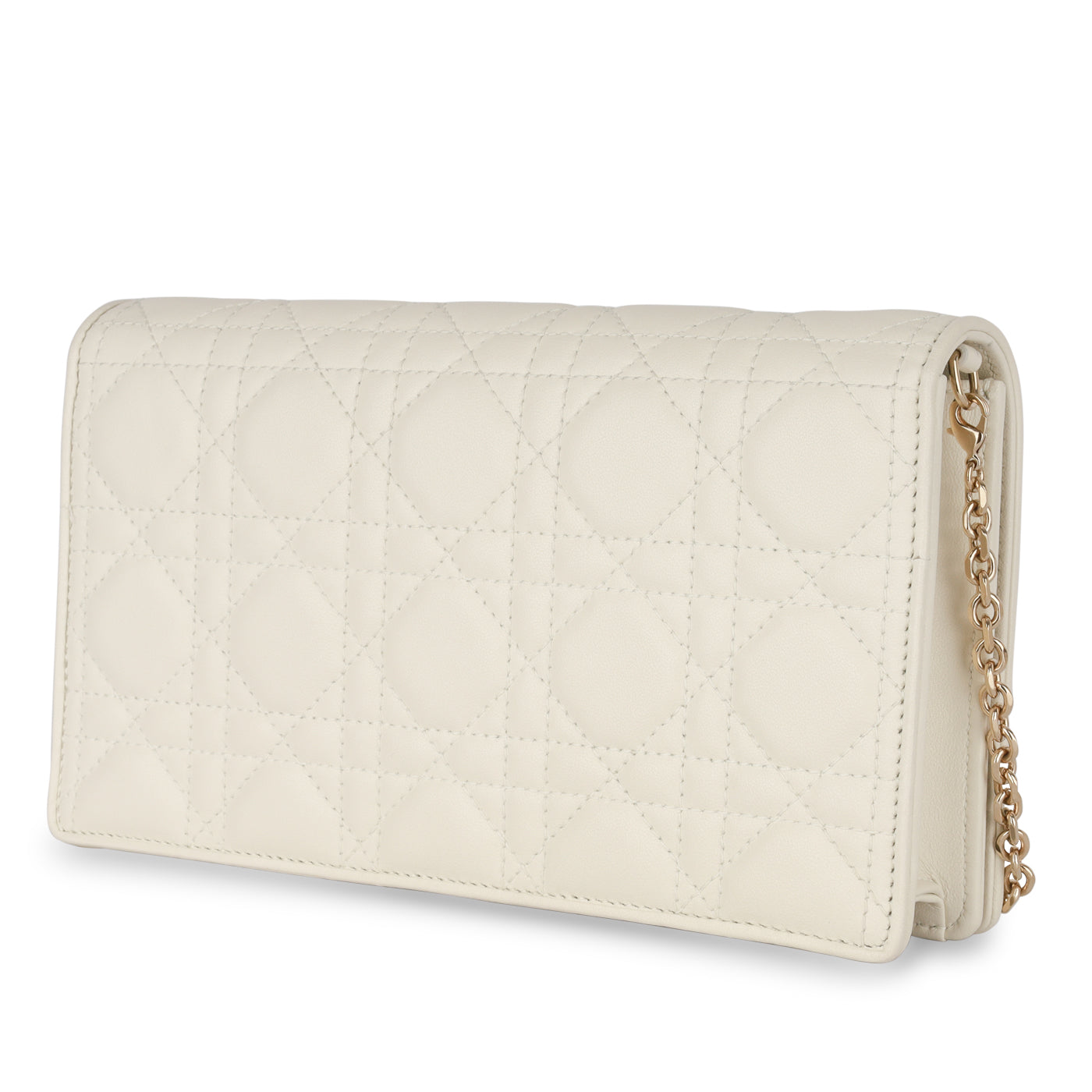 Dior Christian Lady Pouch Crossbody Bag