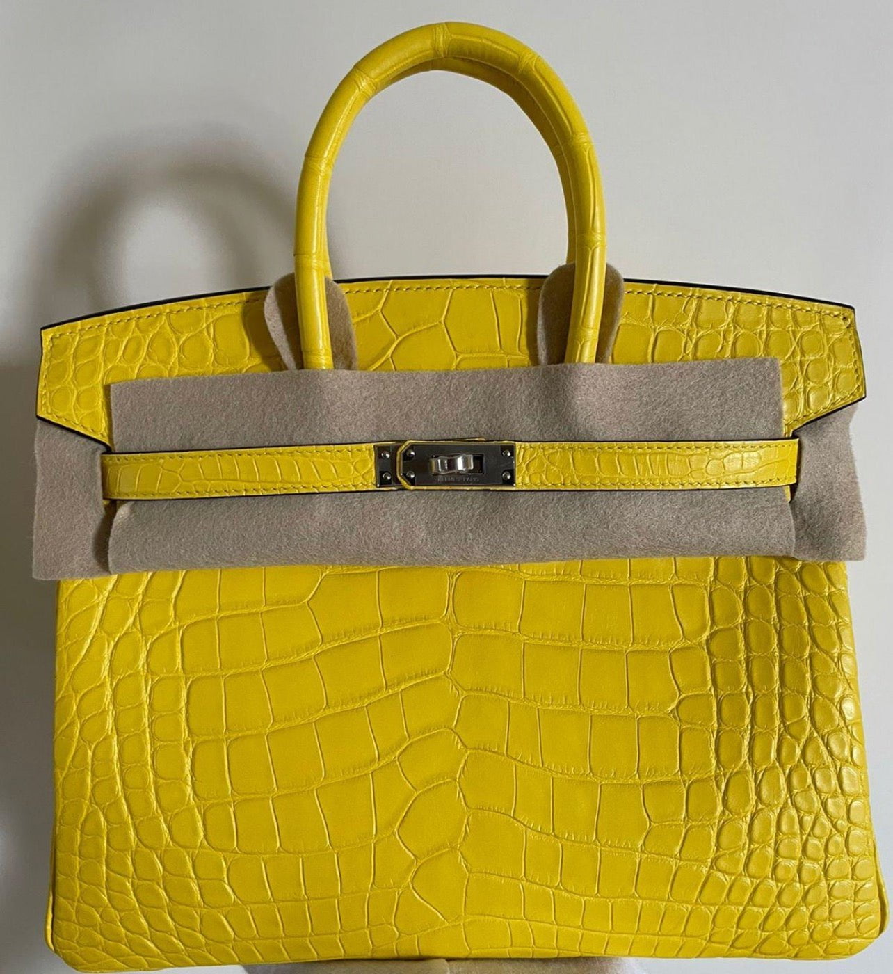 Hermes Mimosa Matte Alligator Birkin Palladium Hardware Handbag Travel Bag