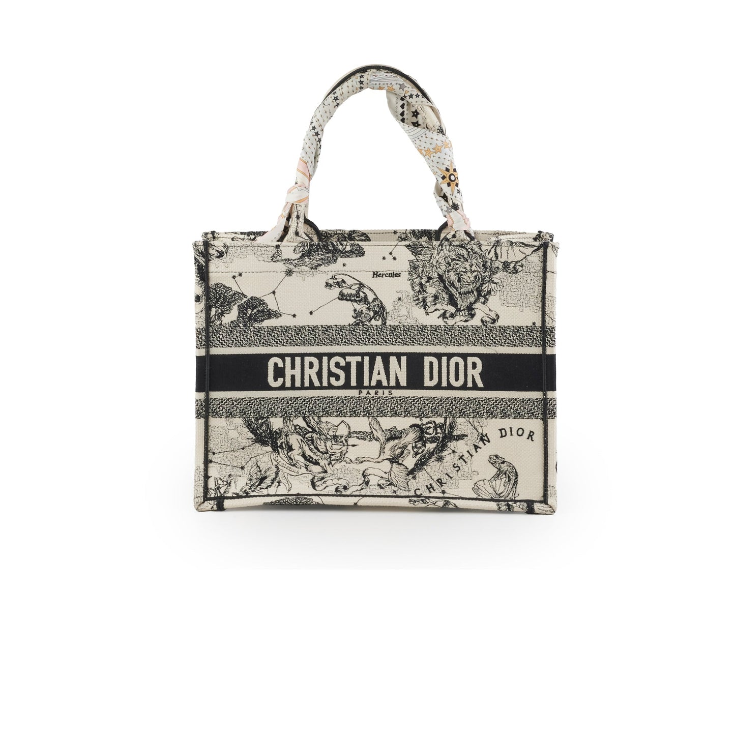 Dior Book Tote Latte Medium Tote Bag