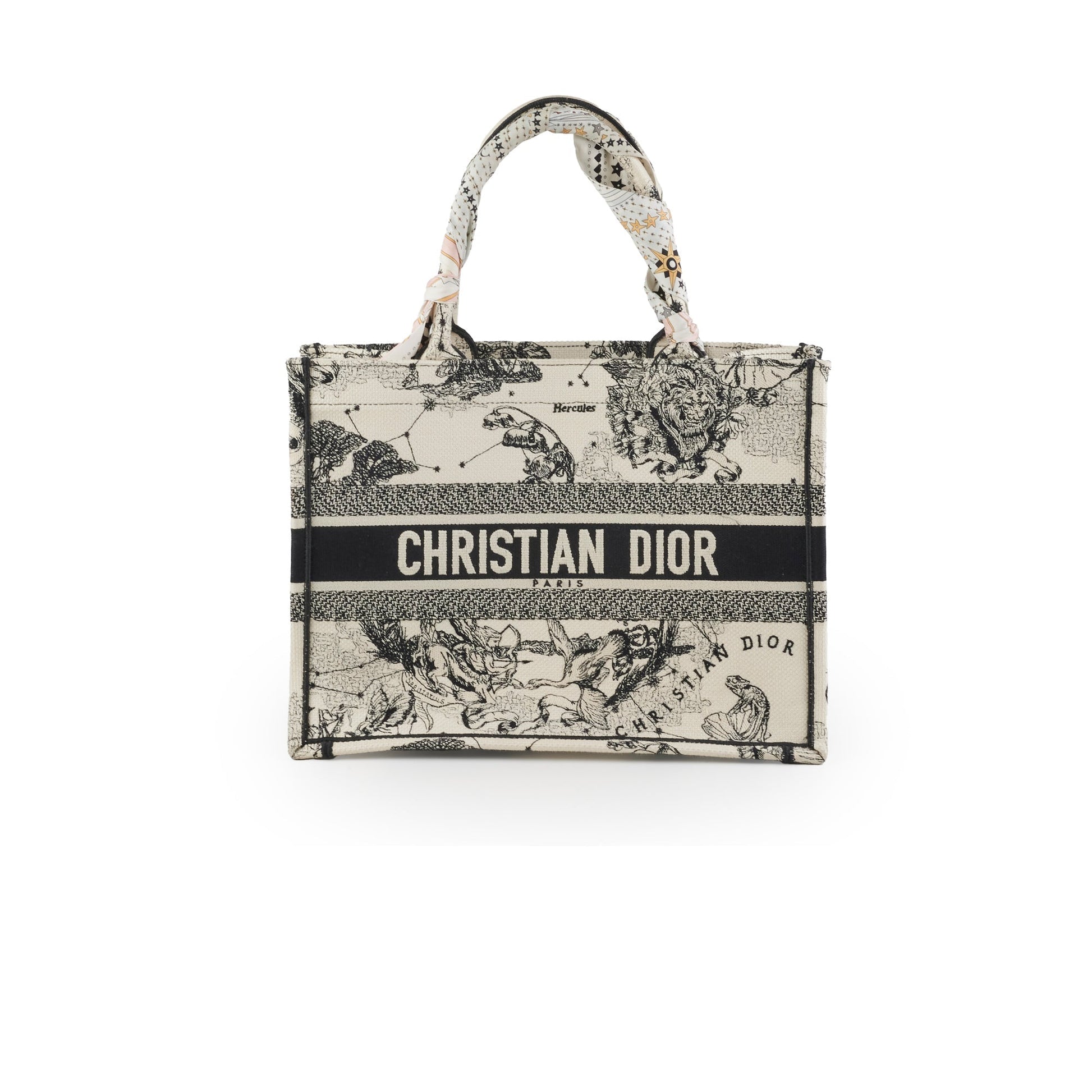 Dior Book Tote Latte Medium Tote Bag