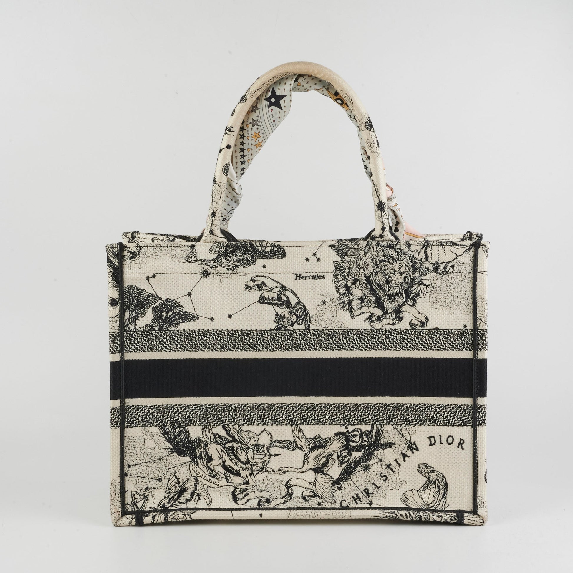 Dior Book Tote Latte Medium Tote Bag
