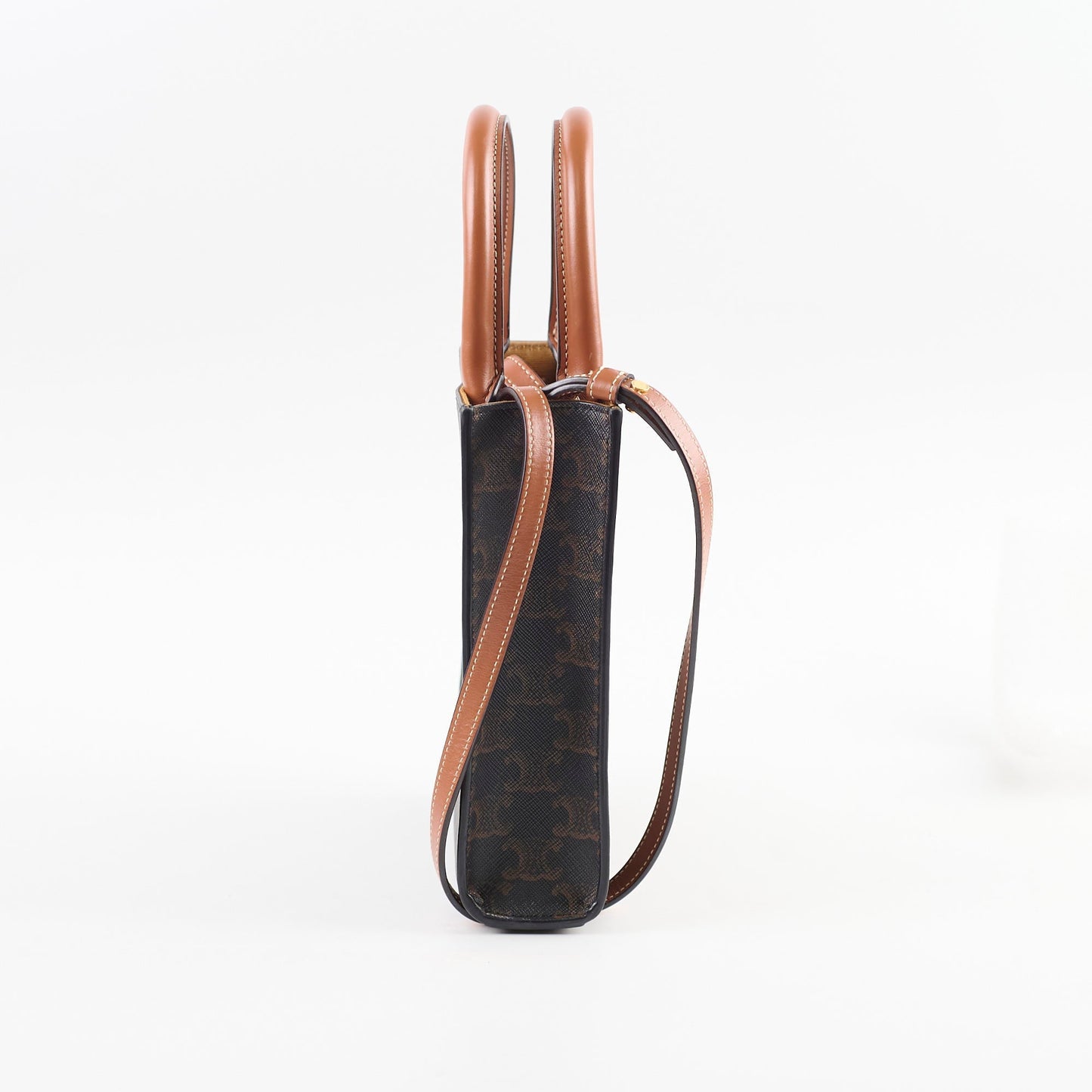 Luxury Vertical Cabas Tote Handbag Canvas Mini Tote Bag
