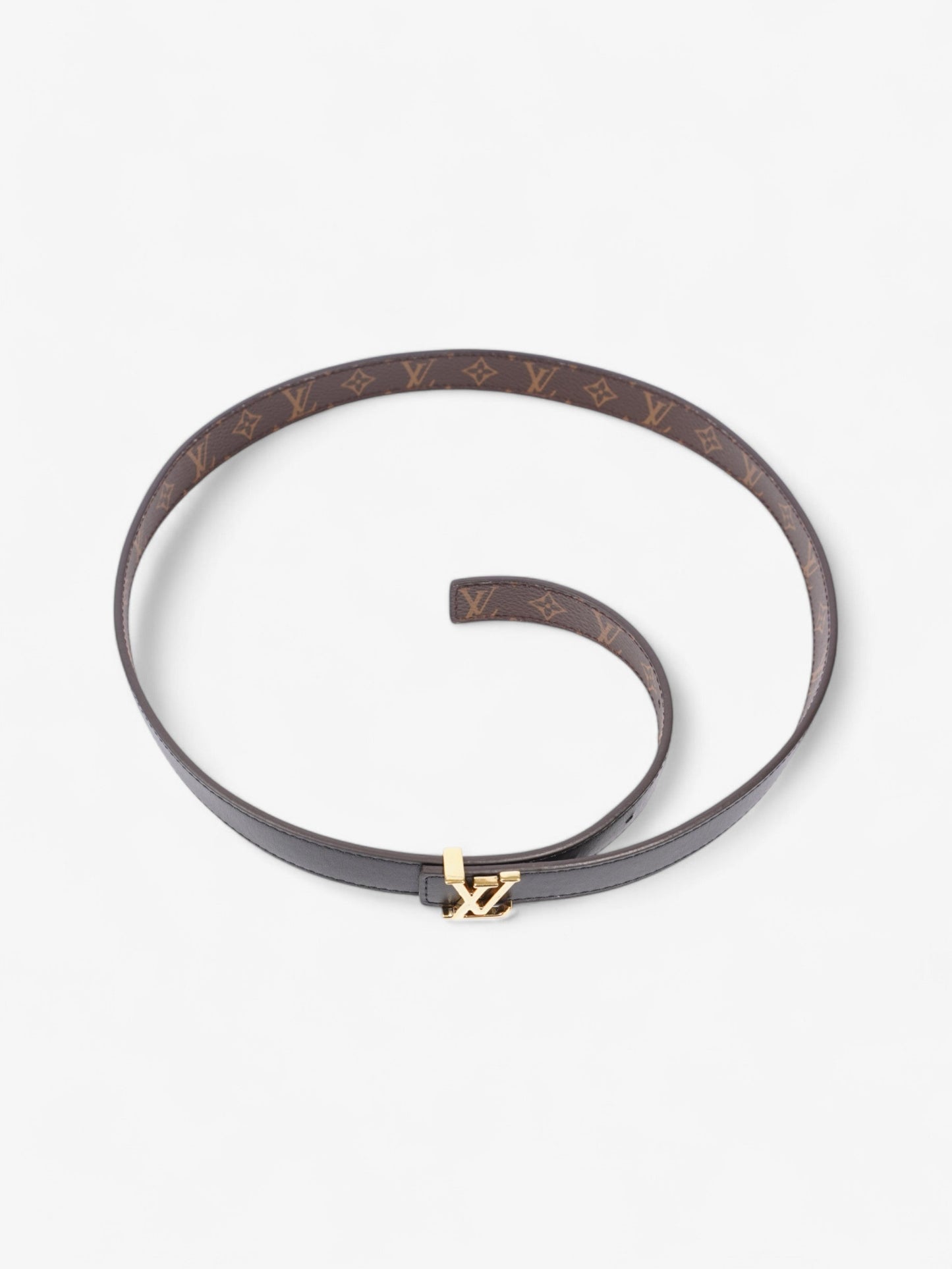 Louis Vuitton Iconic Reversible Coated 85cm 34" Monogram Canvas Black Gold Apparel