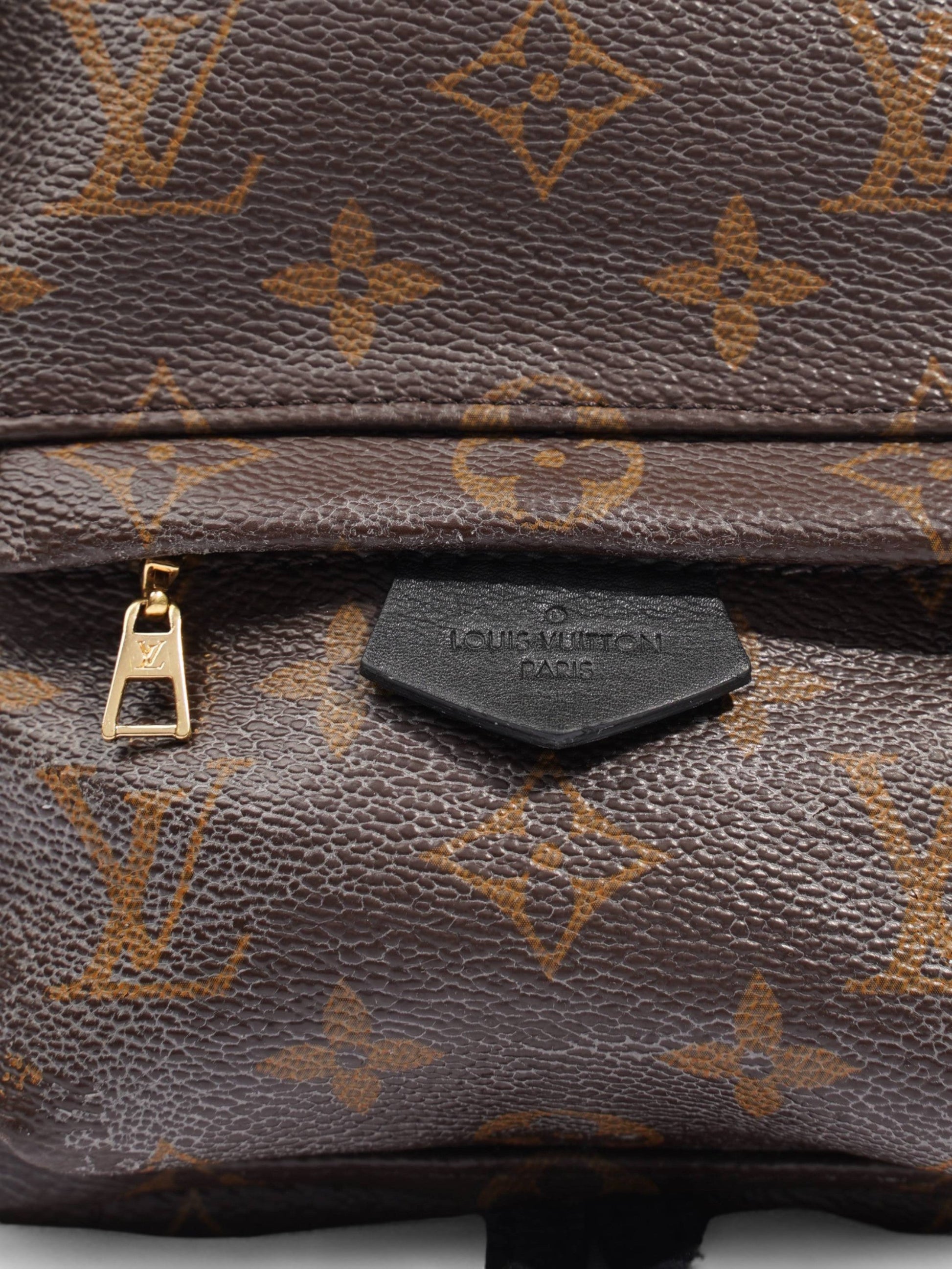 Louis Vuitton Palm Springs Coated Monogram Canvas Coated Canvas Apparel